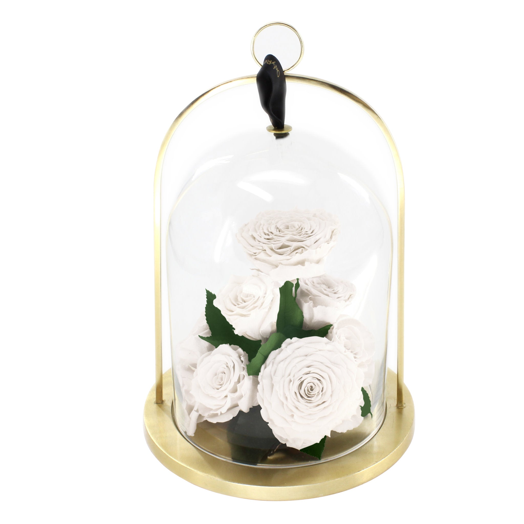 Glass dome with white roses on a gold base against a white background