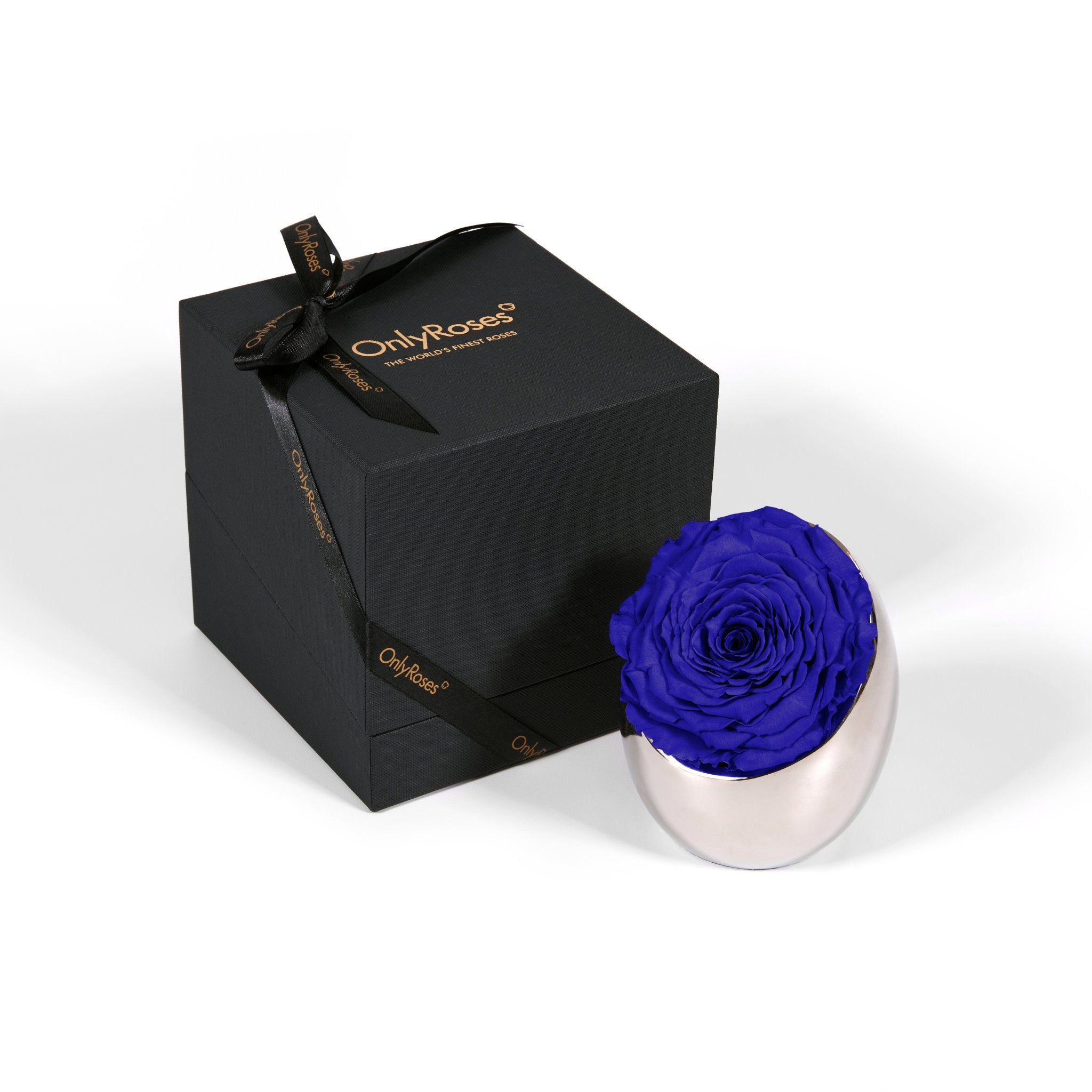 Blue rose in a silver holder next to an 'Only Roses' black box on a white background