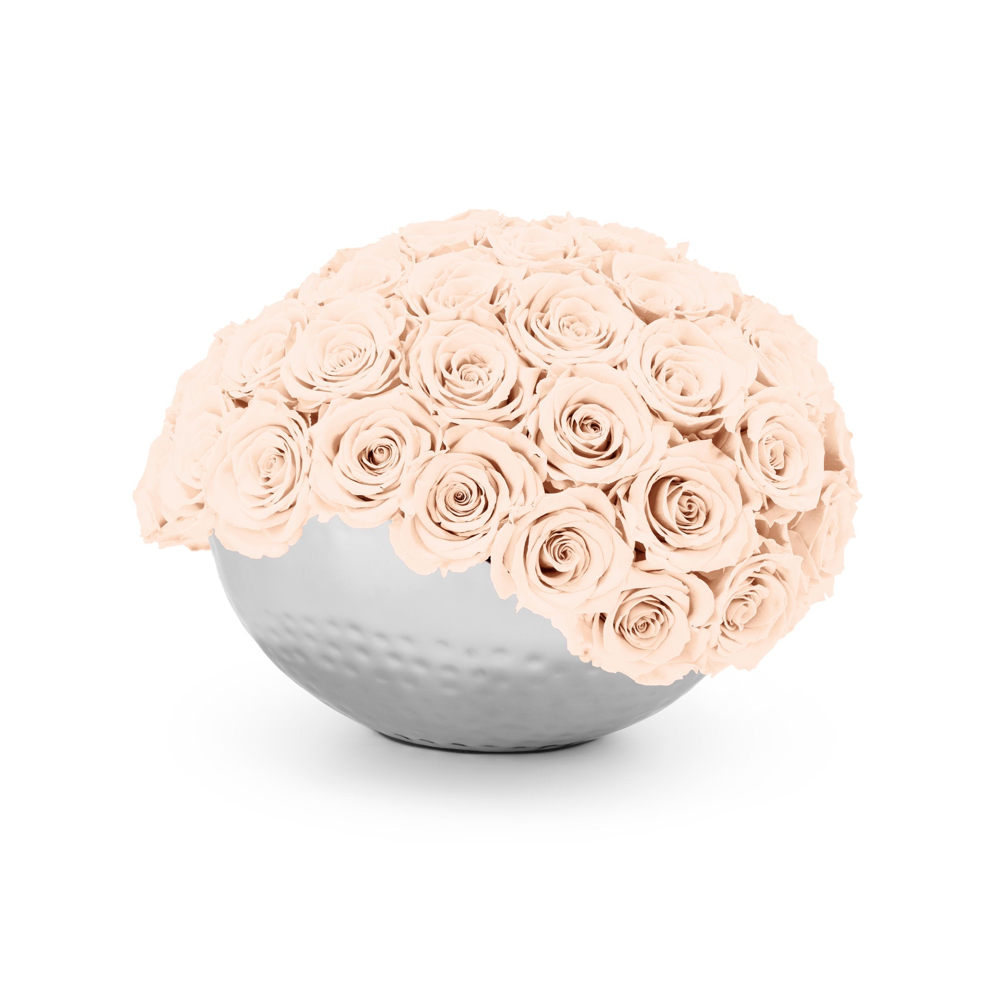 Spherical arrangement of pink roses in a silver vase on a white background