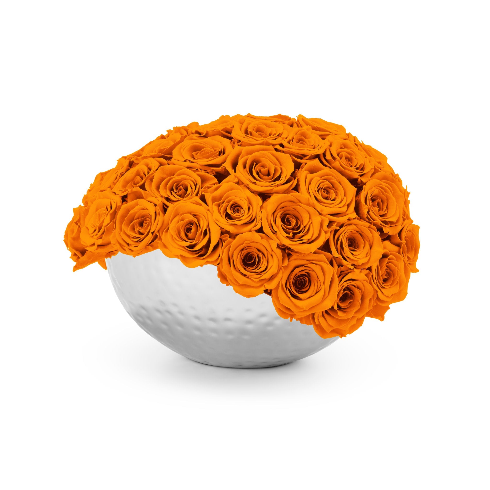 White spherical vase filled with orange roses on a white background