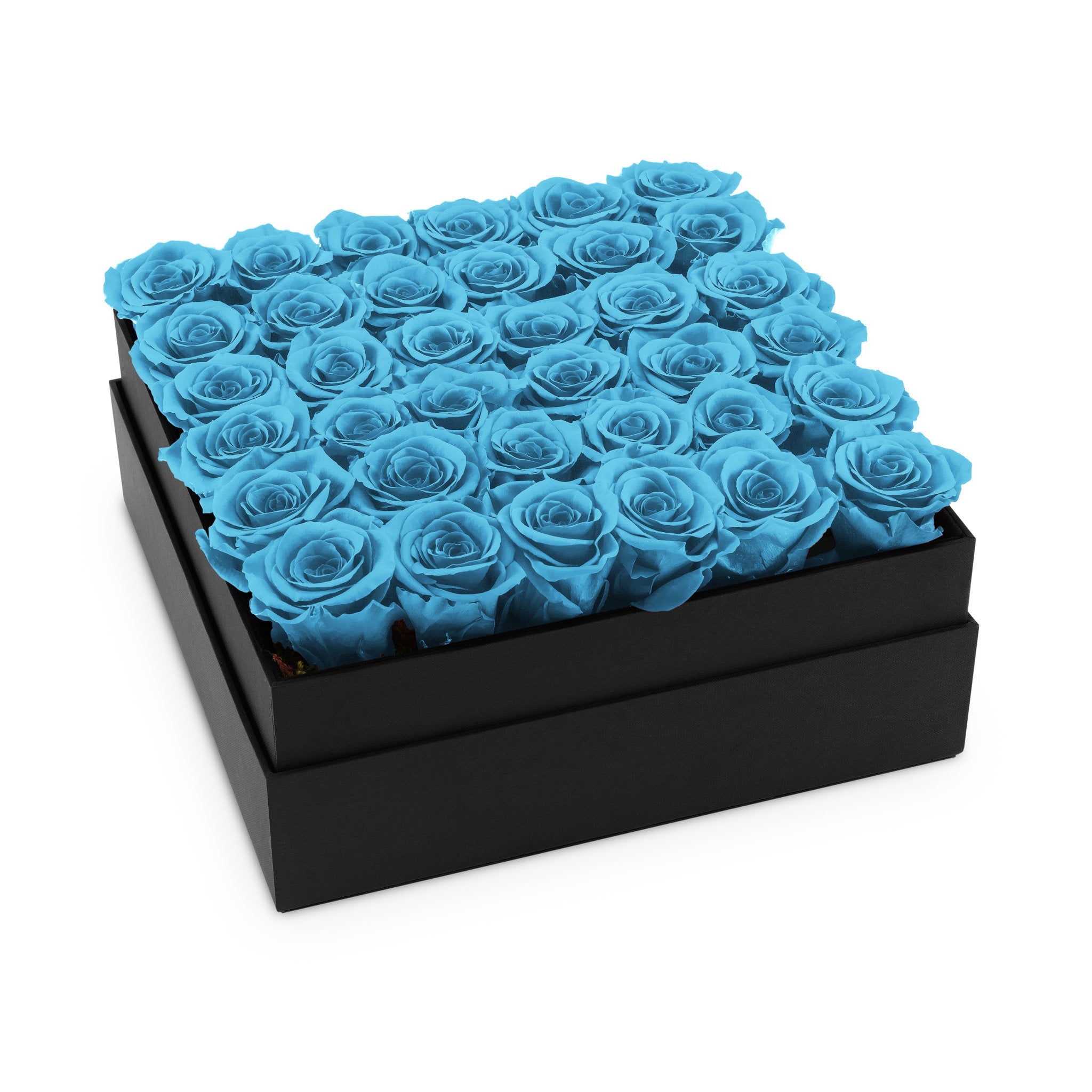 Black box filled with blue roses on a white background