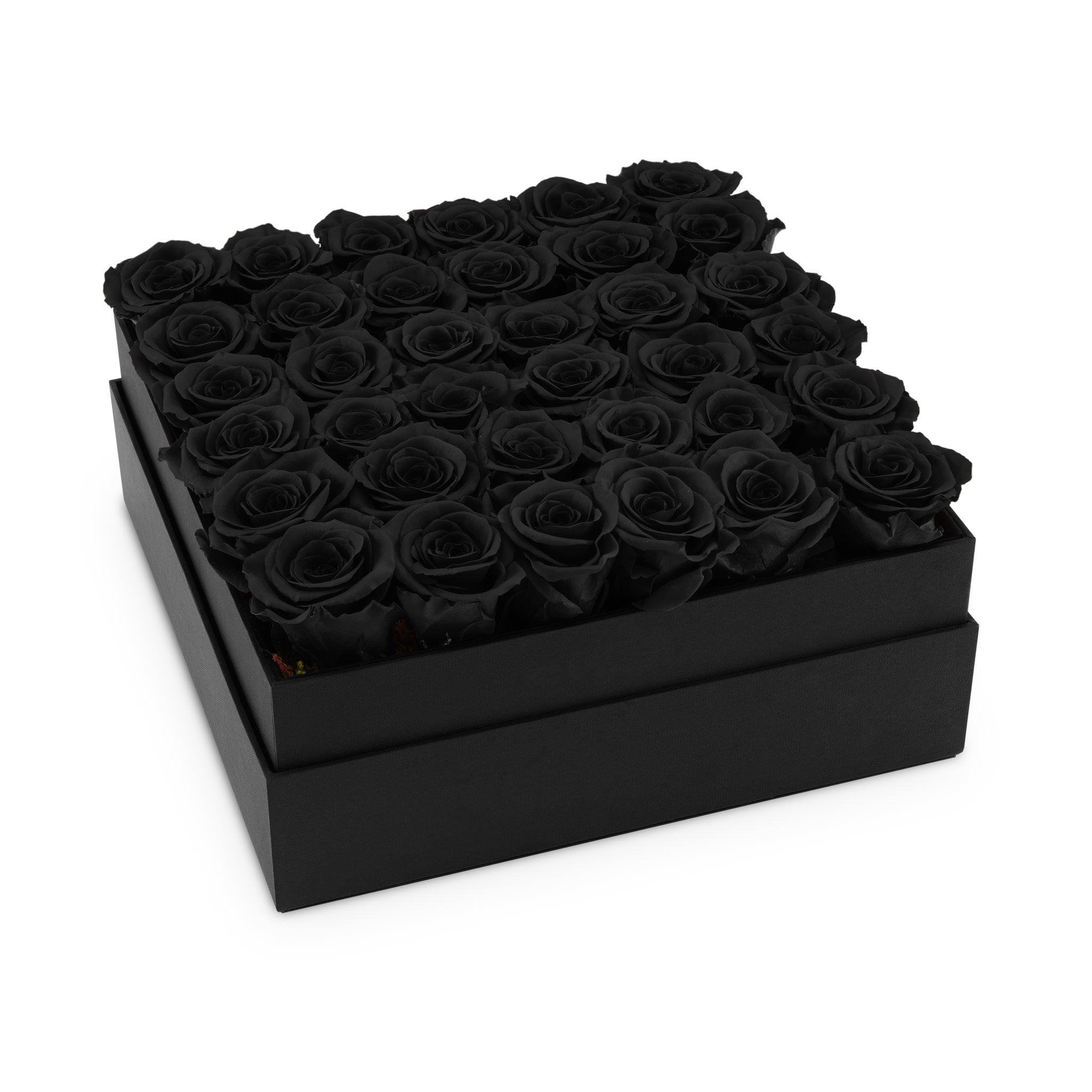 Black box filled with black roses on a white background