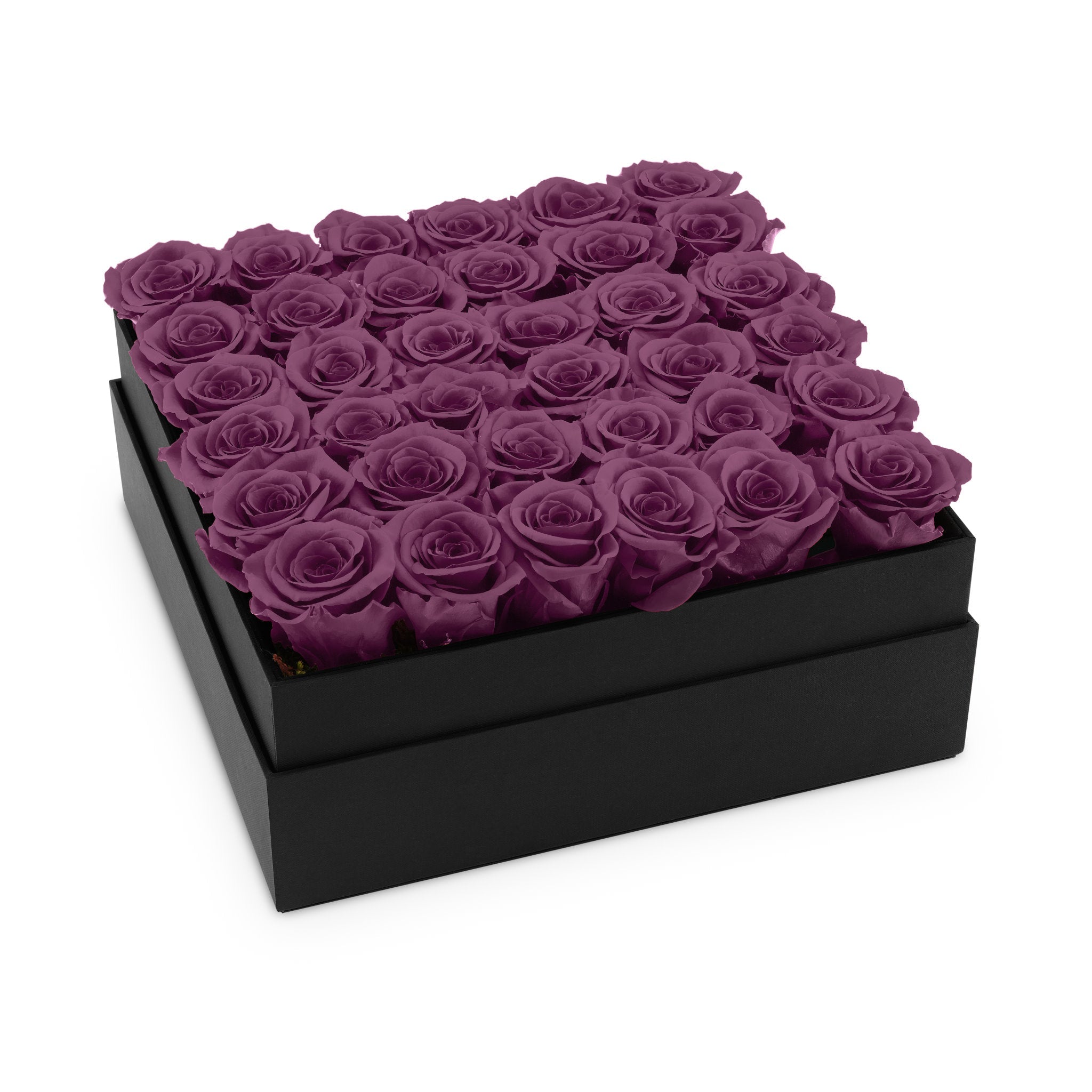 Black box with purple roses on a white background