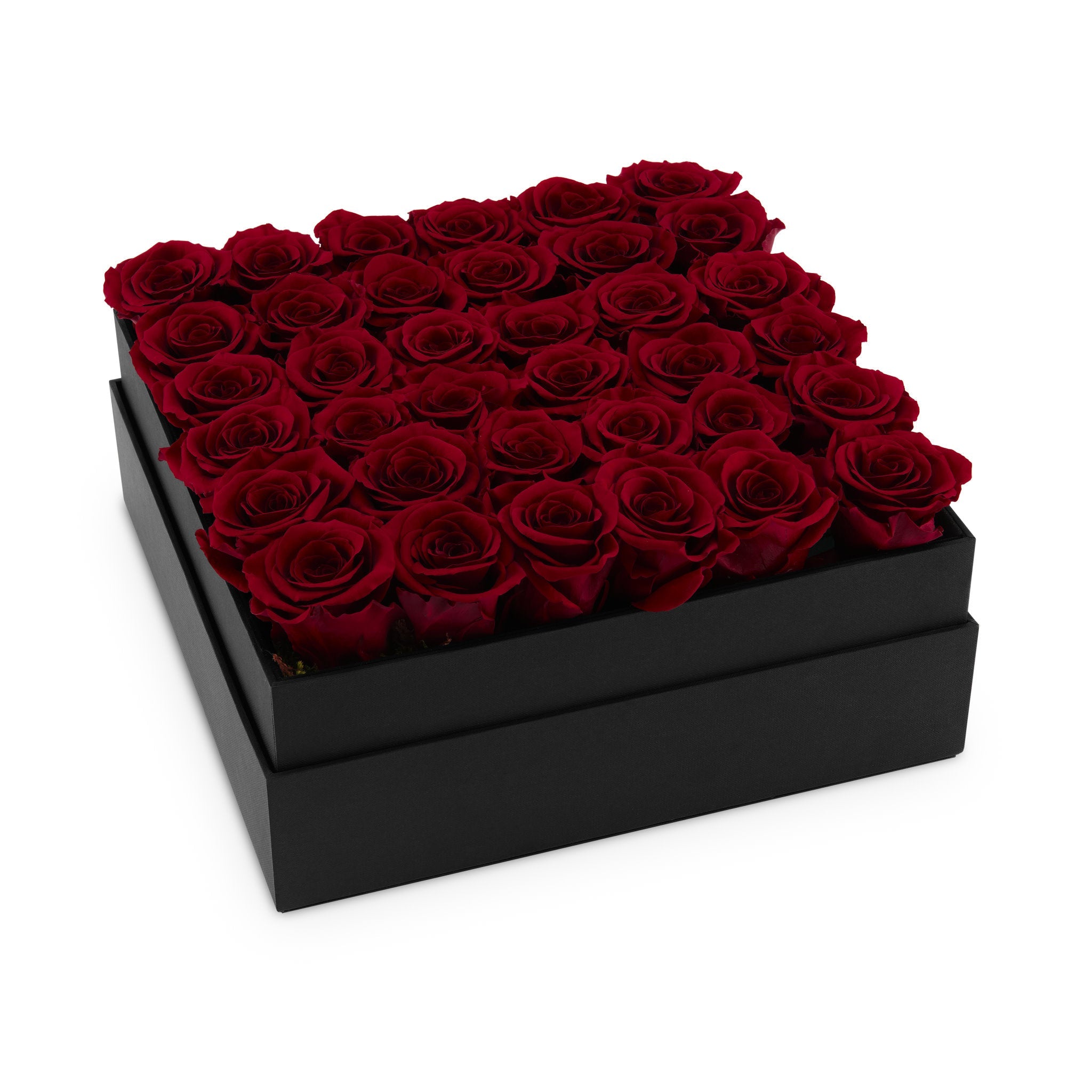 Black box filled with red roses on a white background