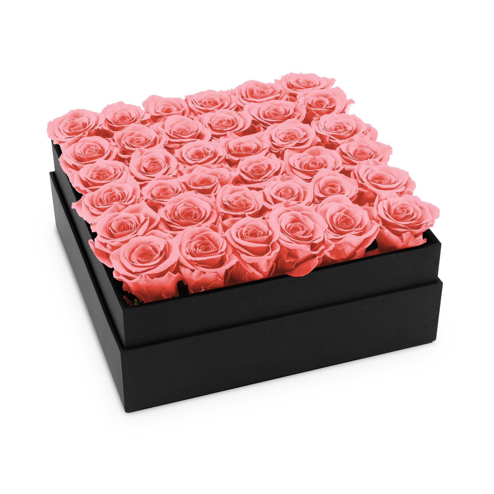 Black box filled with pink roses on a white background