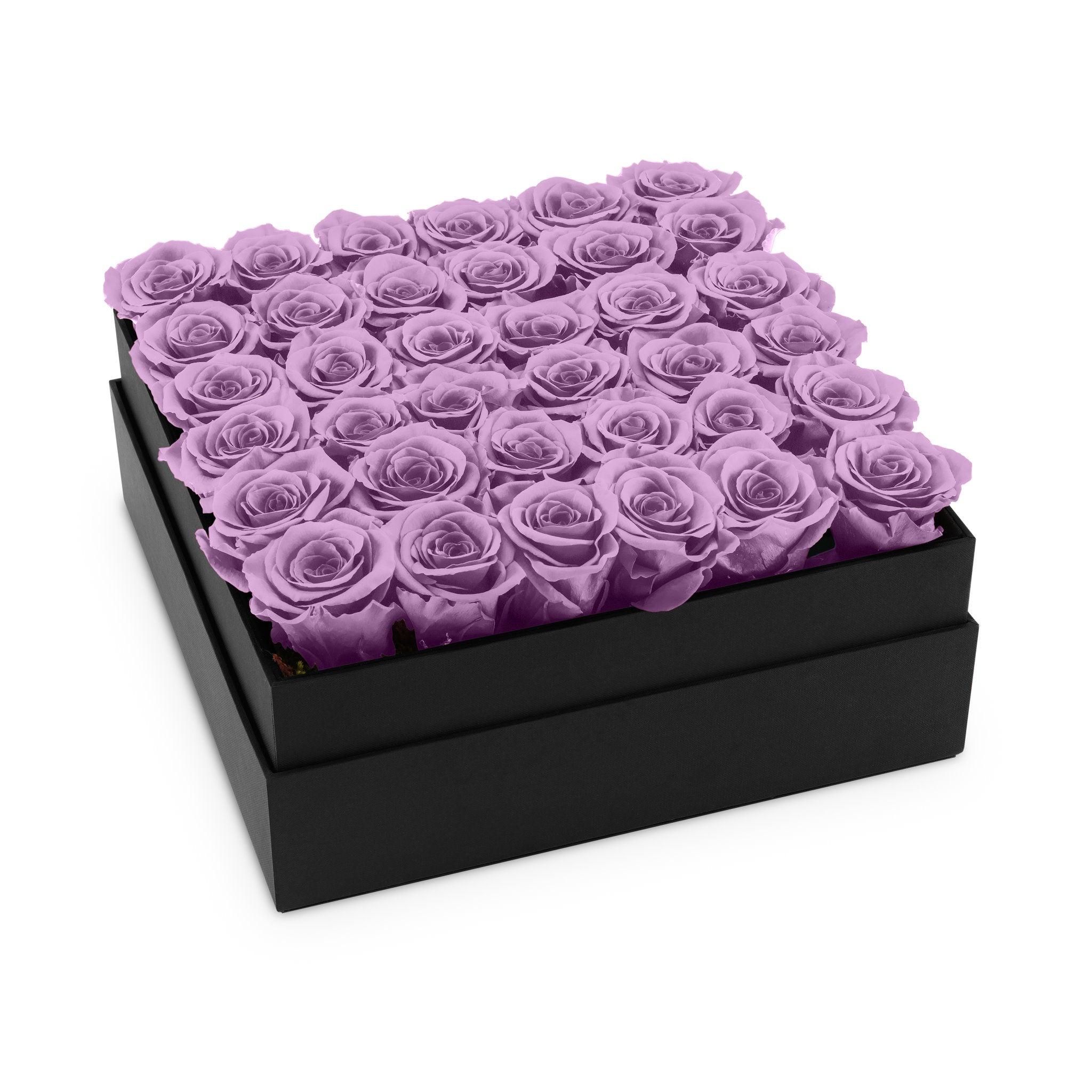 Black box with purple roses on a white background