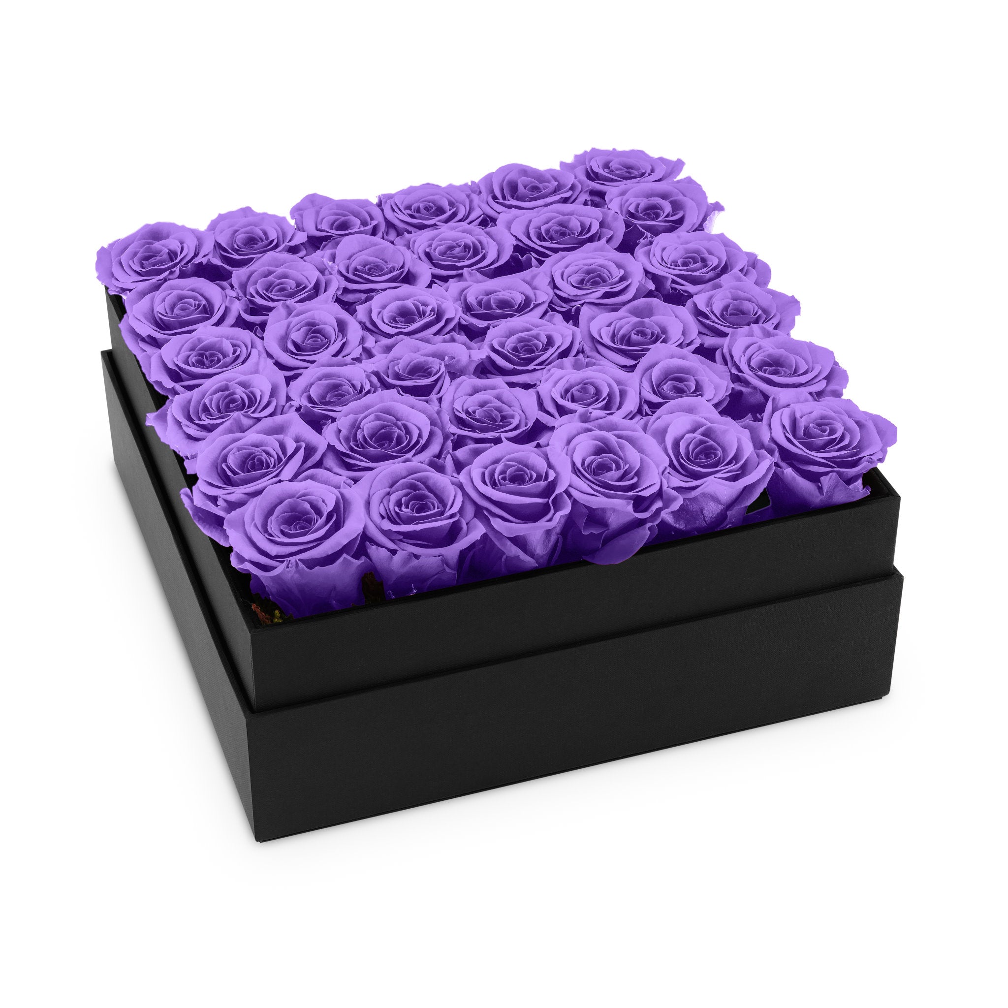 Black box filled with purple roses on a white background