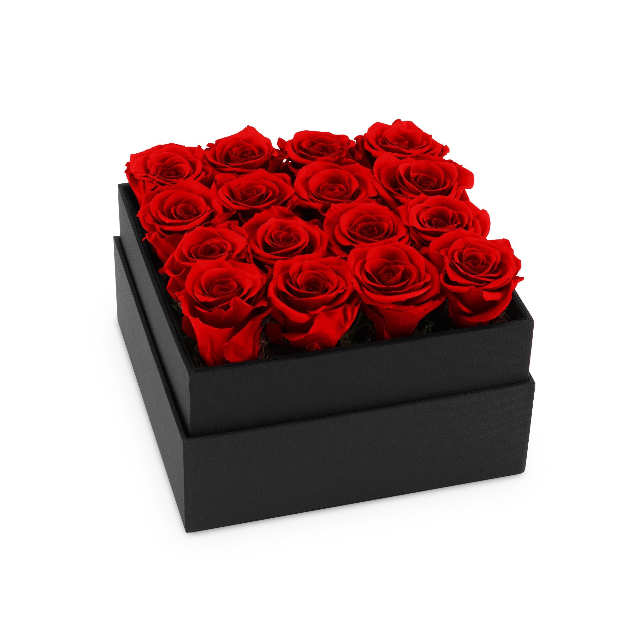 Black box filled with red roses on a white background