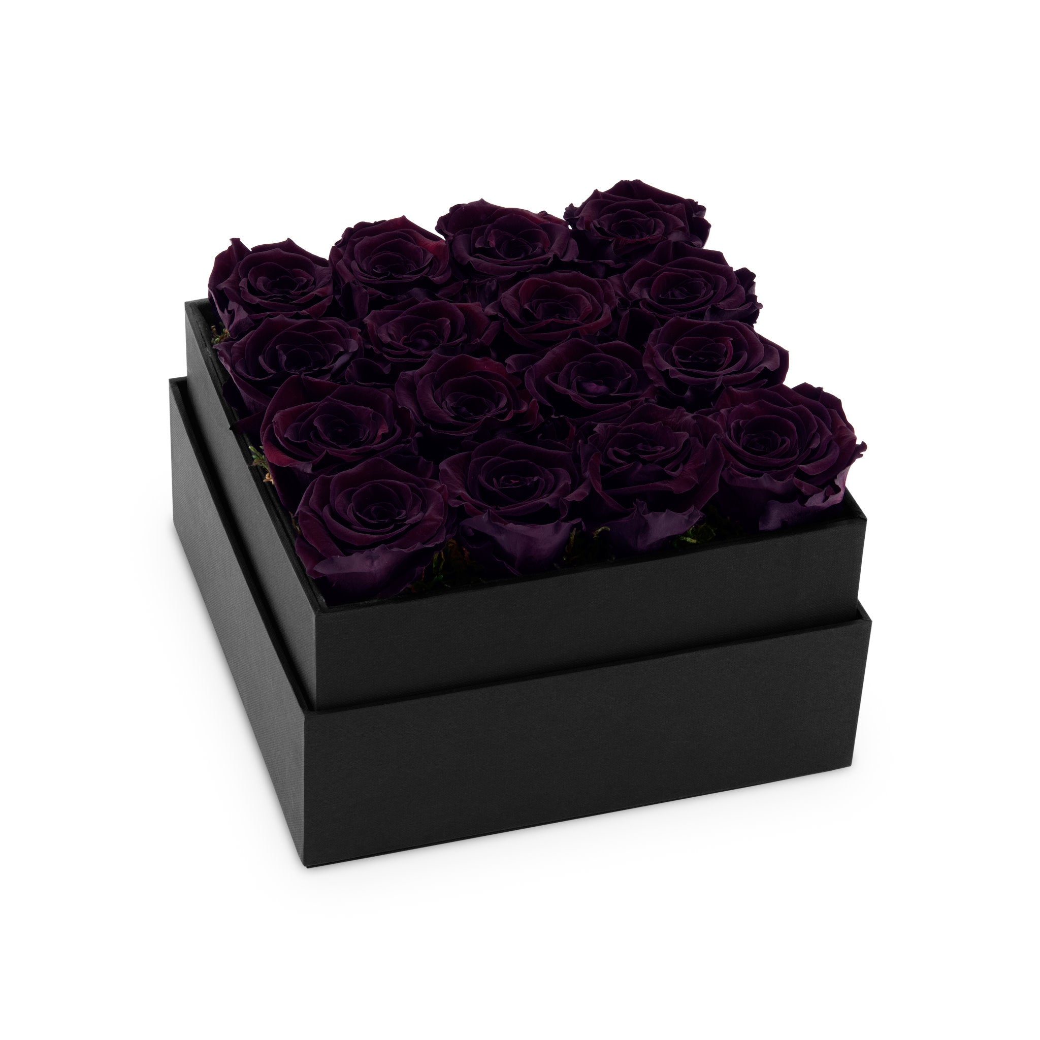 Black box with purple roses on a white background