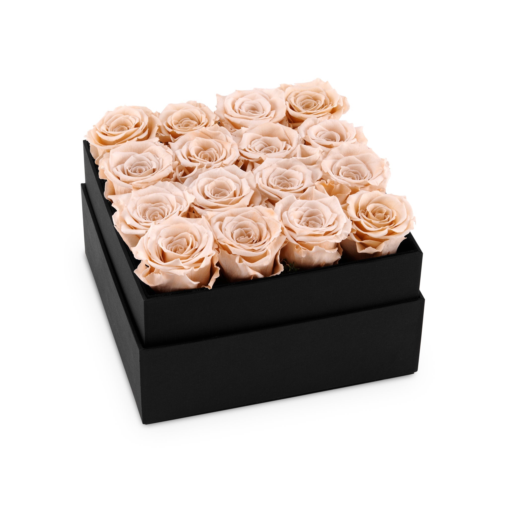 Black box filled with beige roses on a white background
