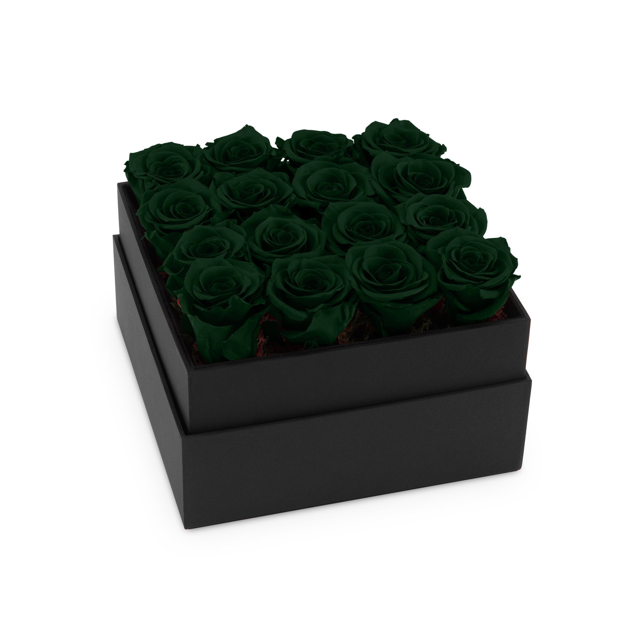 Black box with dark green roses on a white background