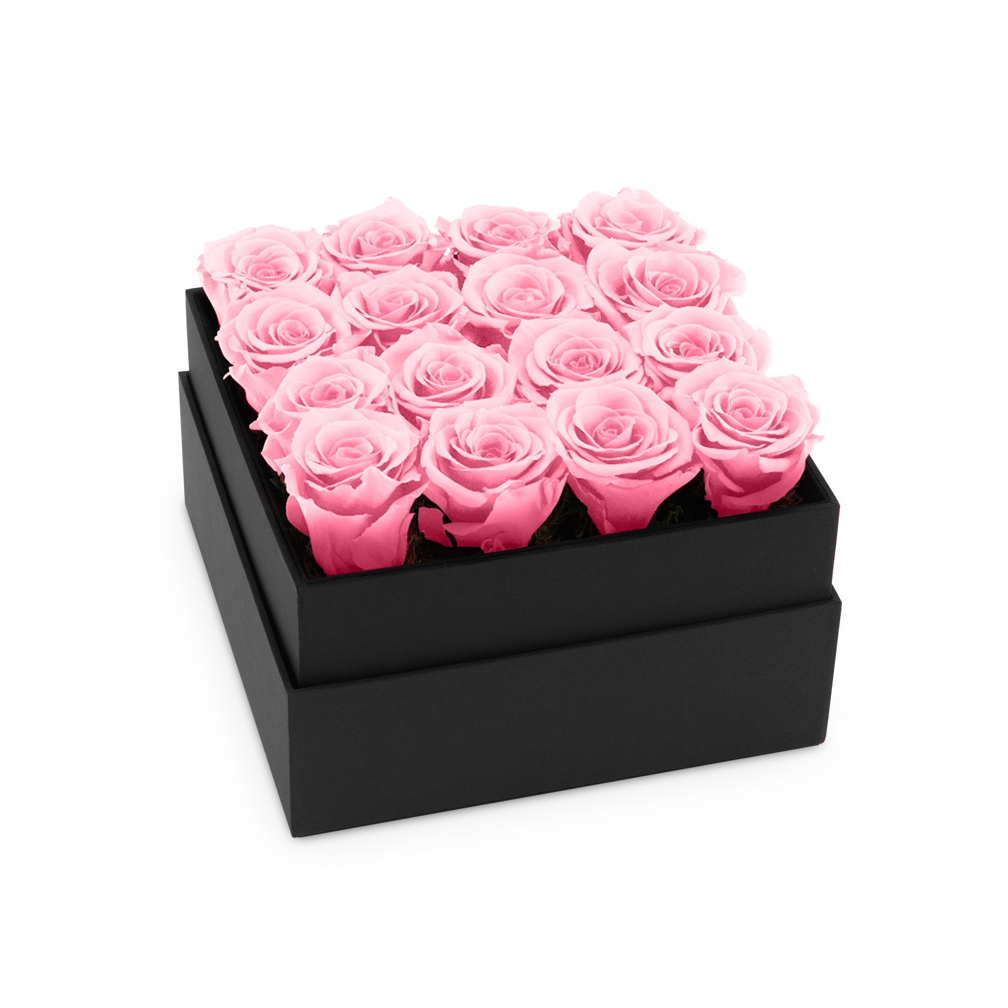 Black box with pink roses on a white background