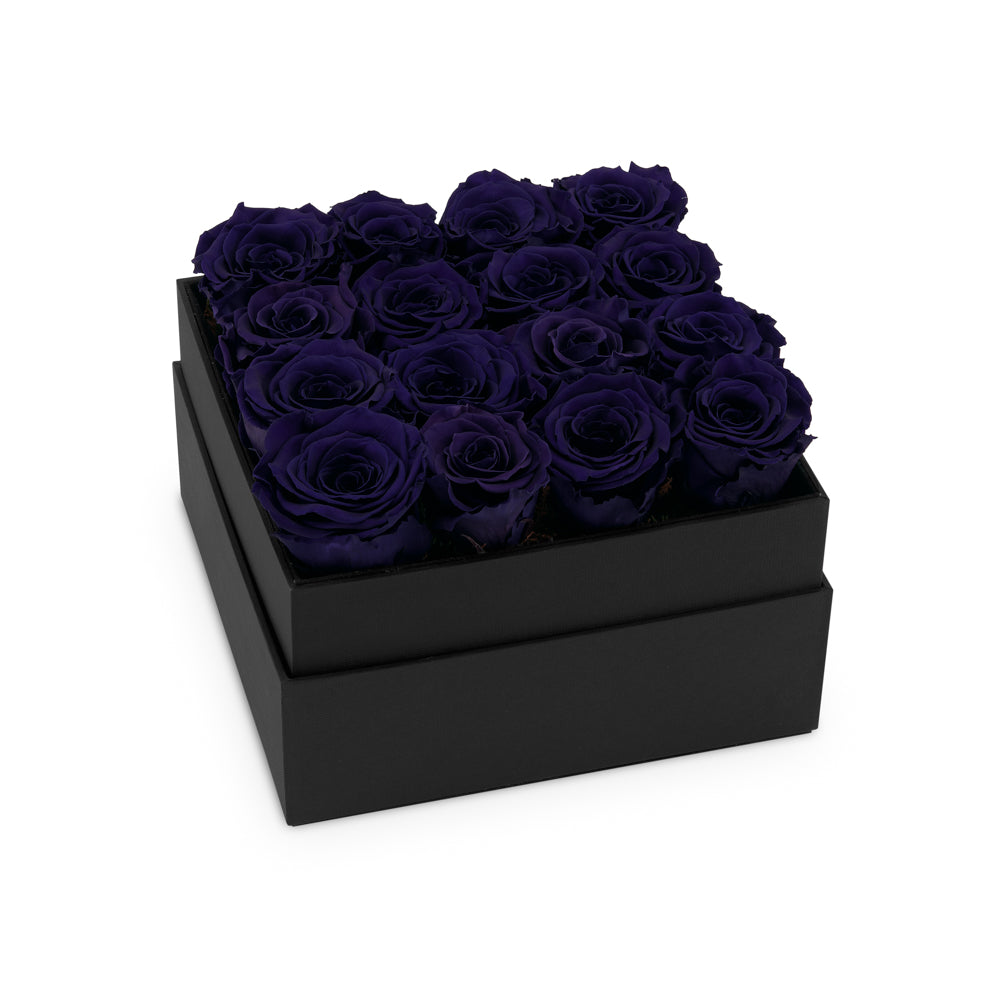 Black box with purple roses on a white background