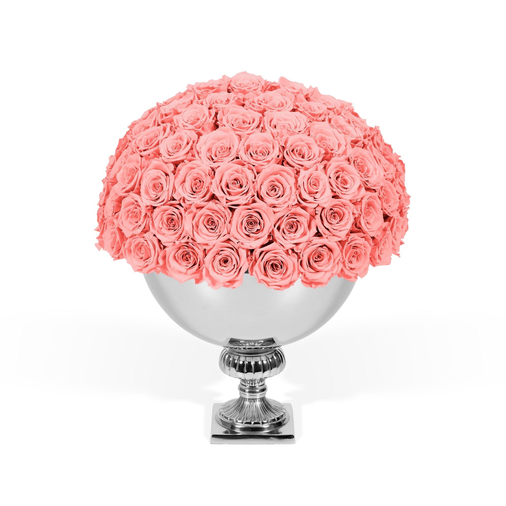 Bouquet of pink roses in a silver vase on a white background