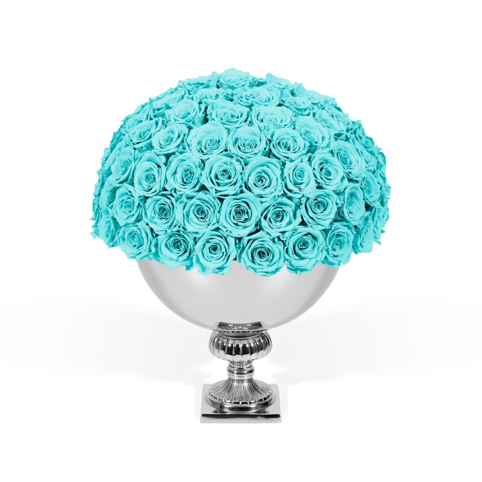 Bouquet of turquoise roses in a silver vase on a white background