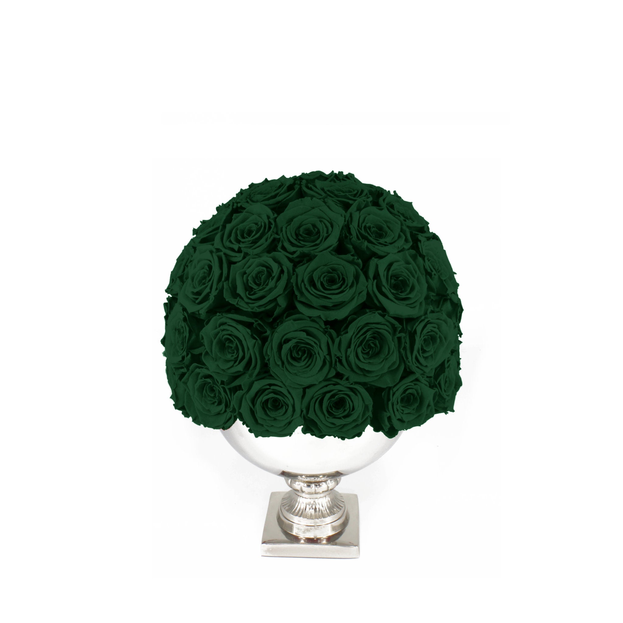 White vase with green roses on a white background
