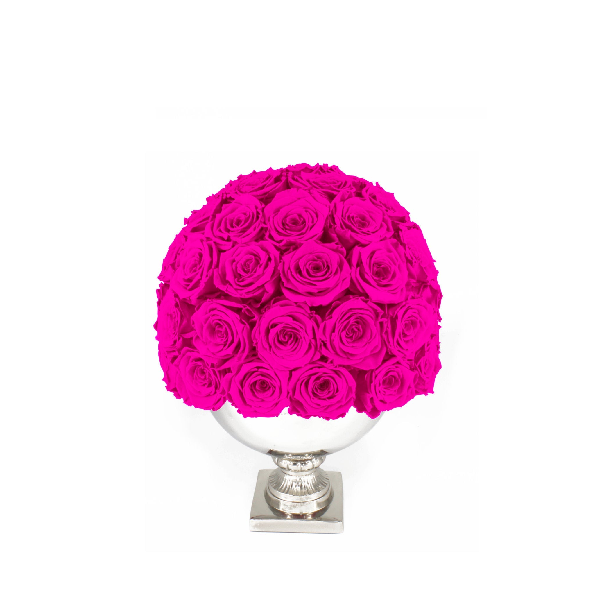 Bouquet of bright pink roses in a white vase on a white background