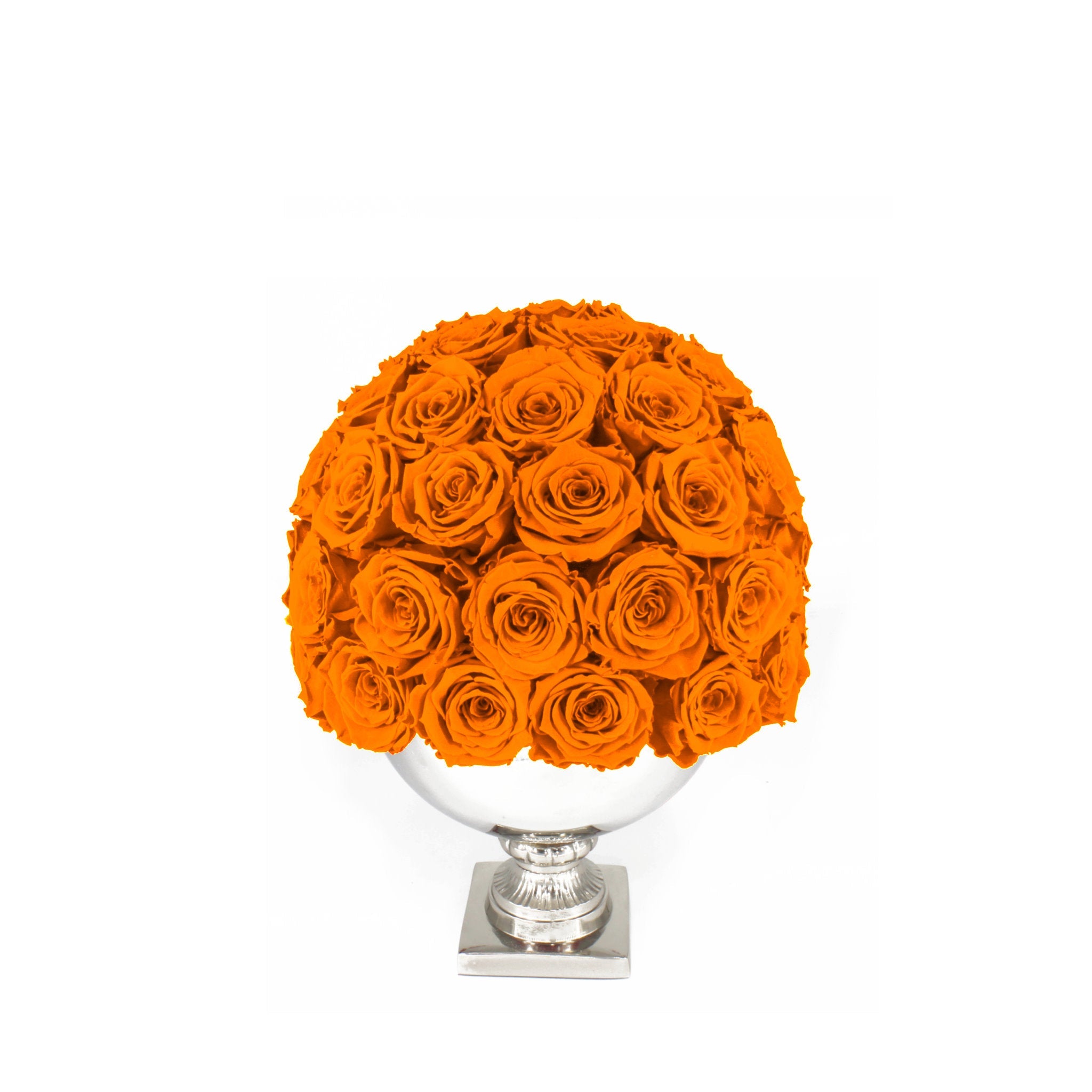 Bouquet of orange roses in a white vase on a white background