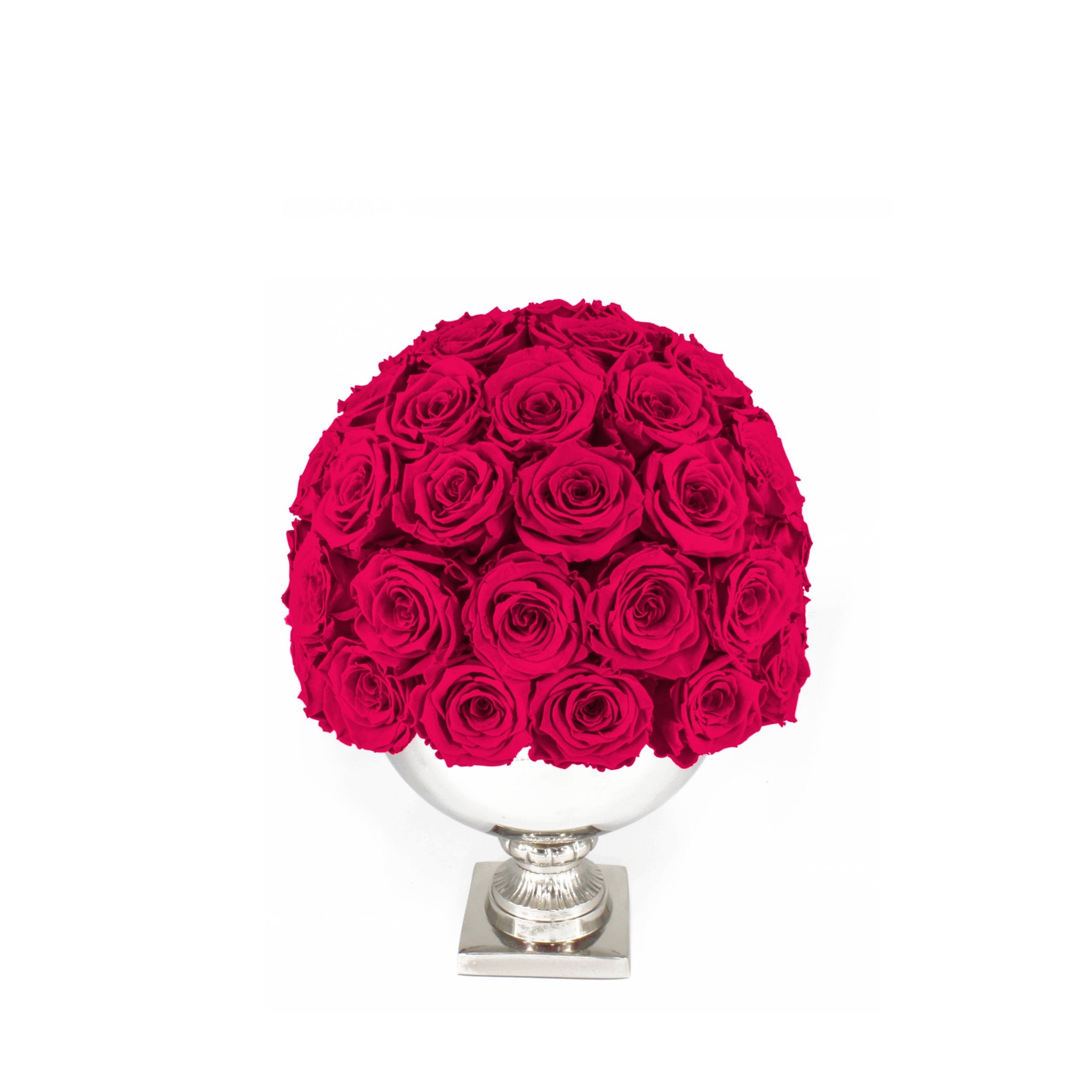 Bouquet of red roses in a white vase on a white background