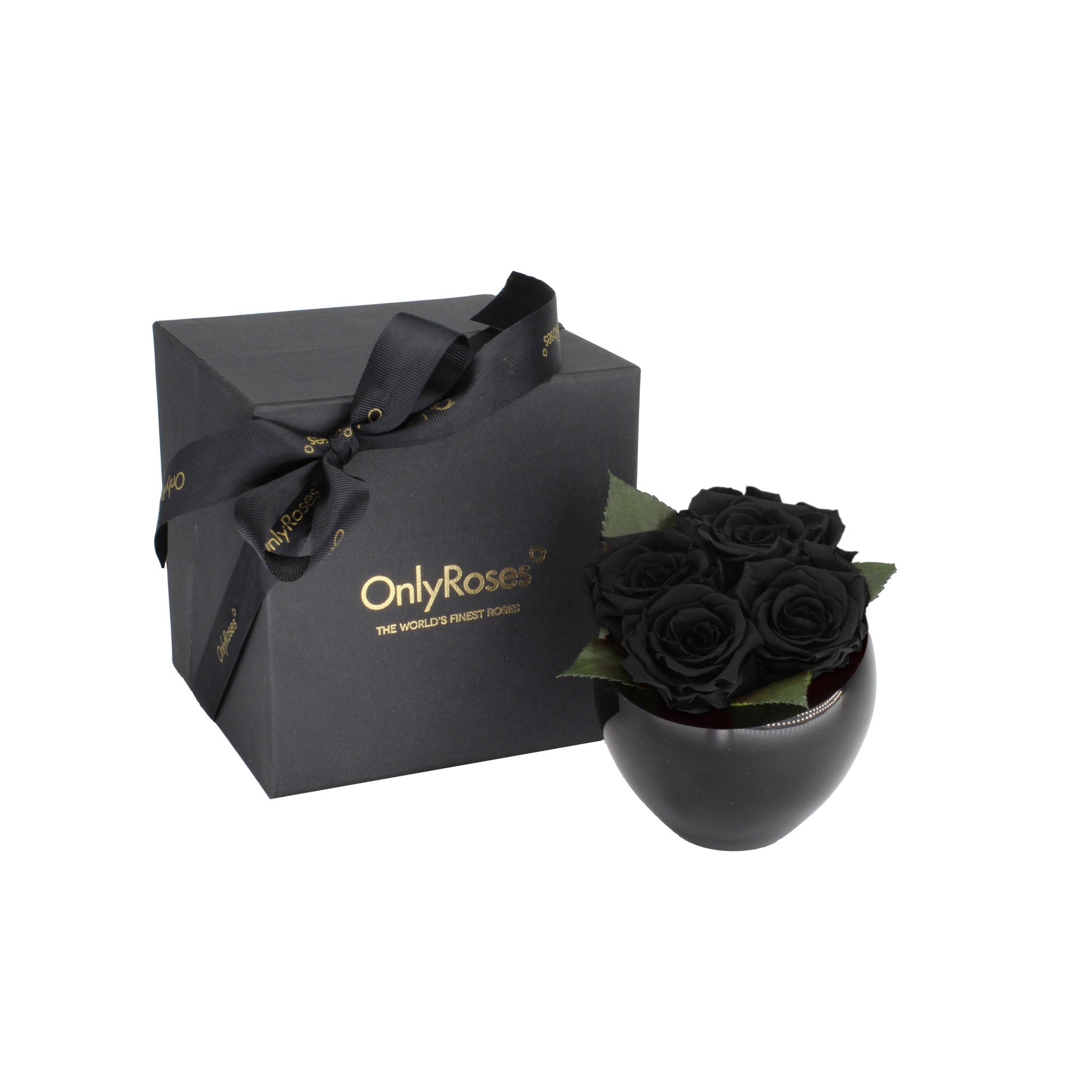 Black roses in a bowl with a matching 'Only Roses' box on a white background