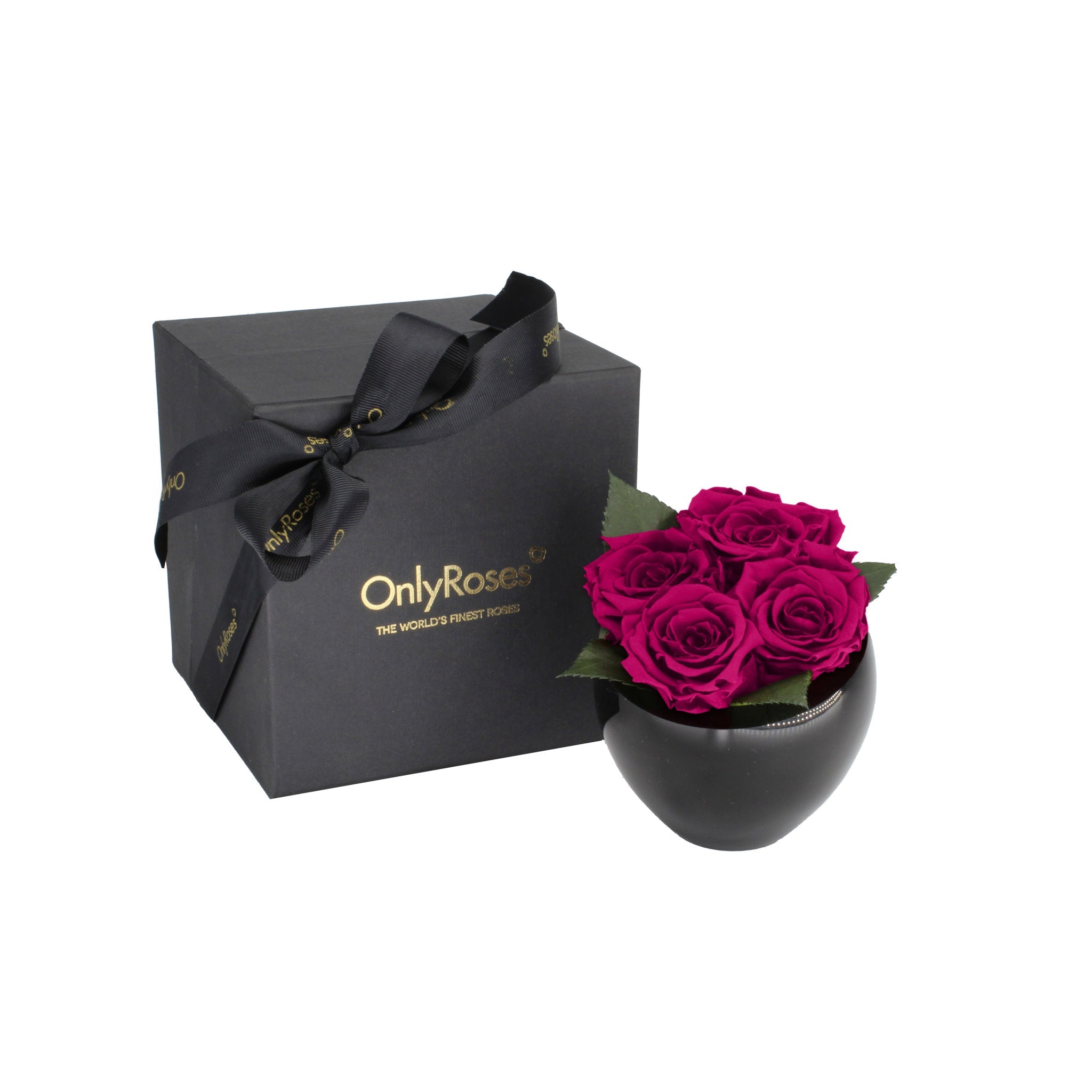 Black gift box with a black bow and 'Only Roses' branding next to a black vase with pink roses on a white background.