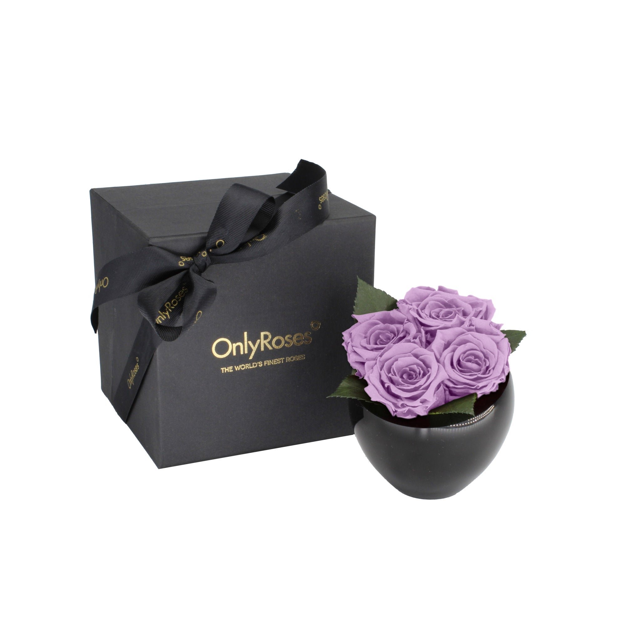 Black box with a bow and 'Only Roses' branding next to a black vase with purple roses on a white background
