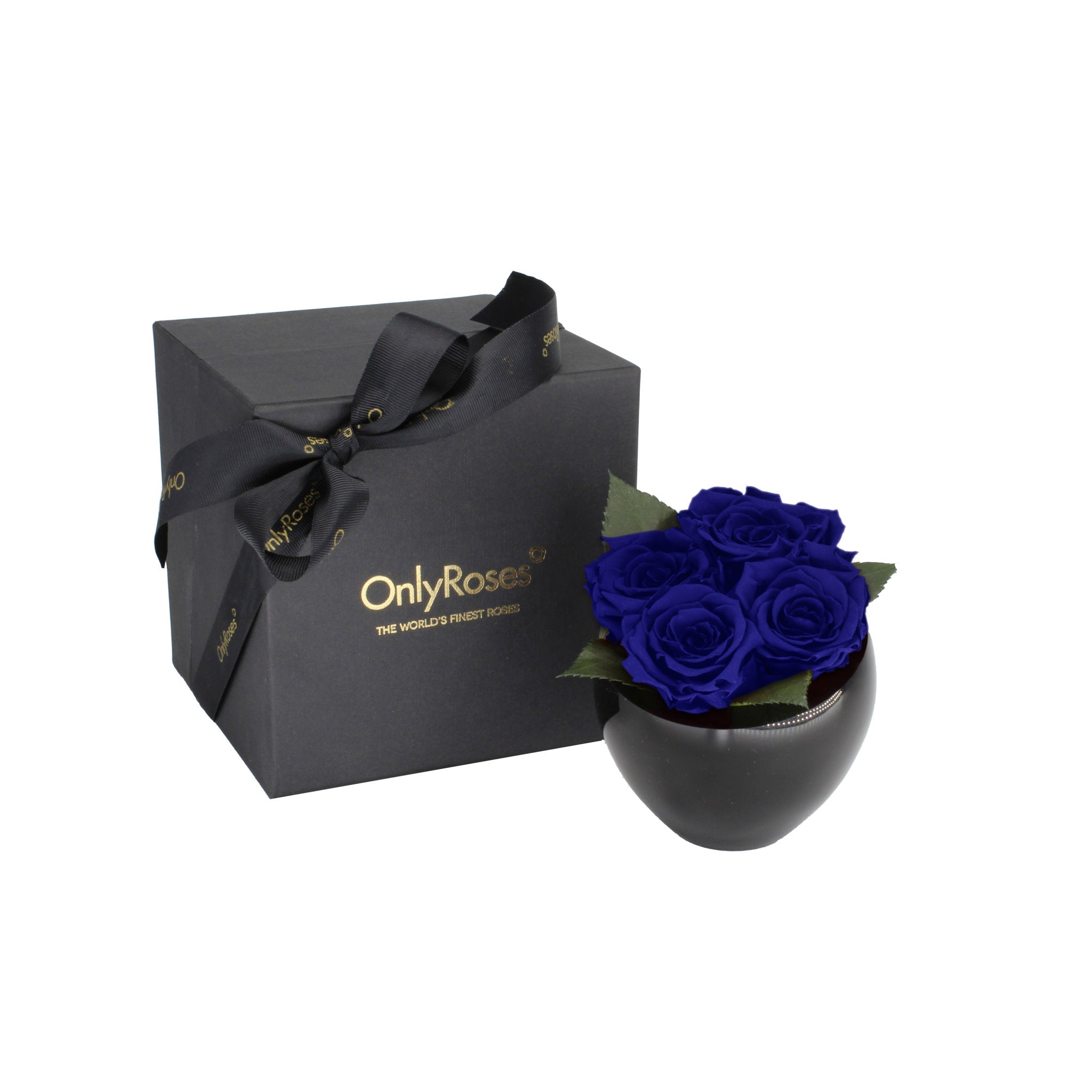 Black box with a bow and 'Only Roses' branding next to a black container holding blue roses on a white background.
