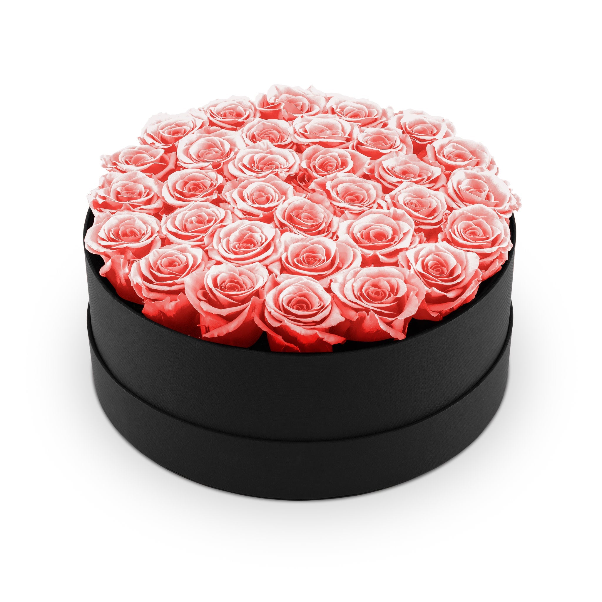 Round black box filled with pink roses on a white background