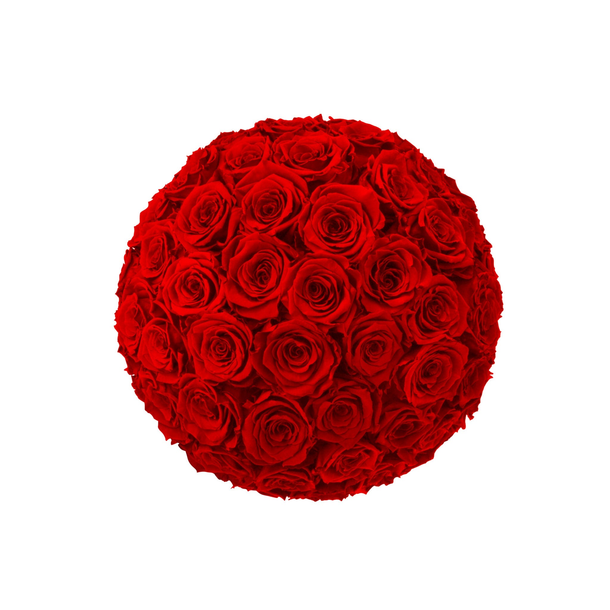 Round bouquet of red roses on a white background