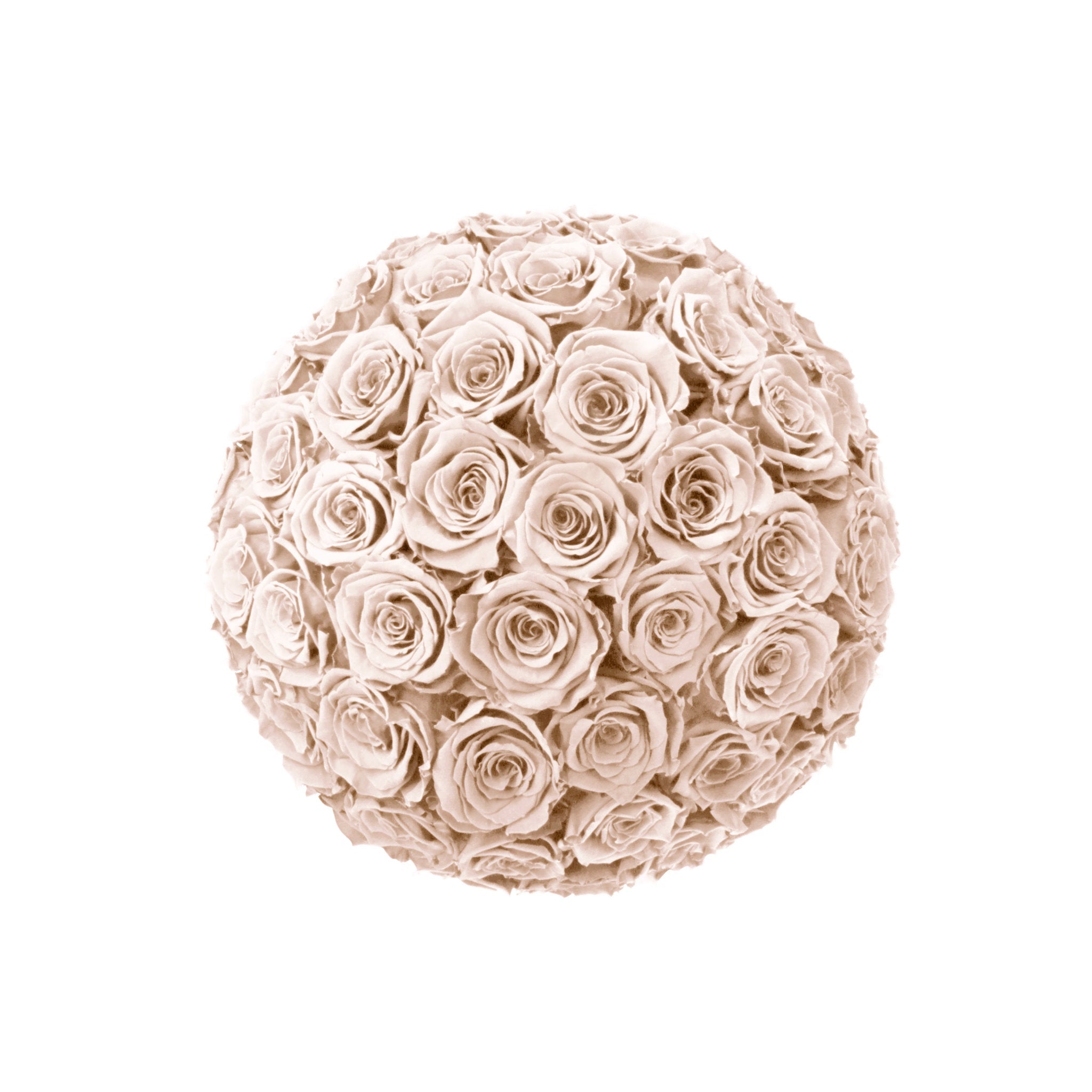 Round bouquet of light pink roses on a white background