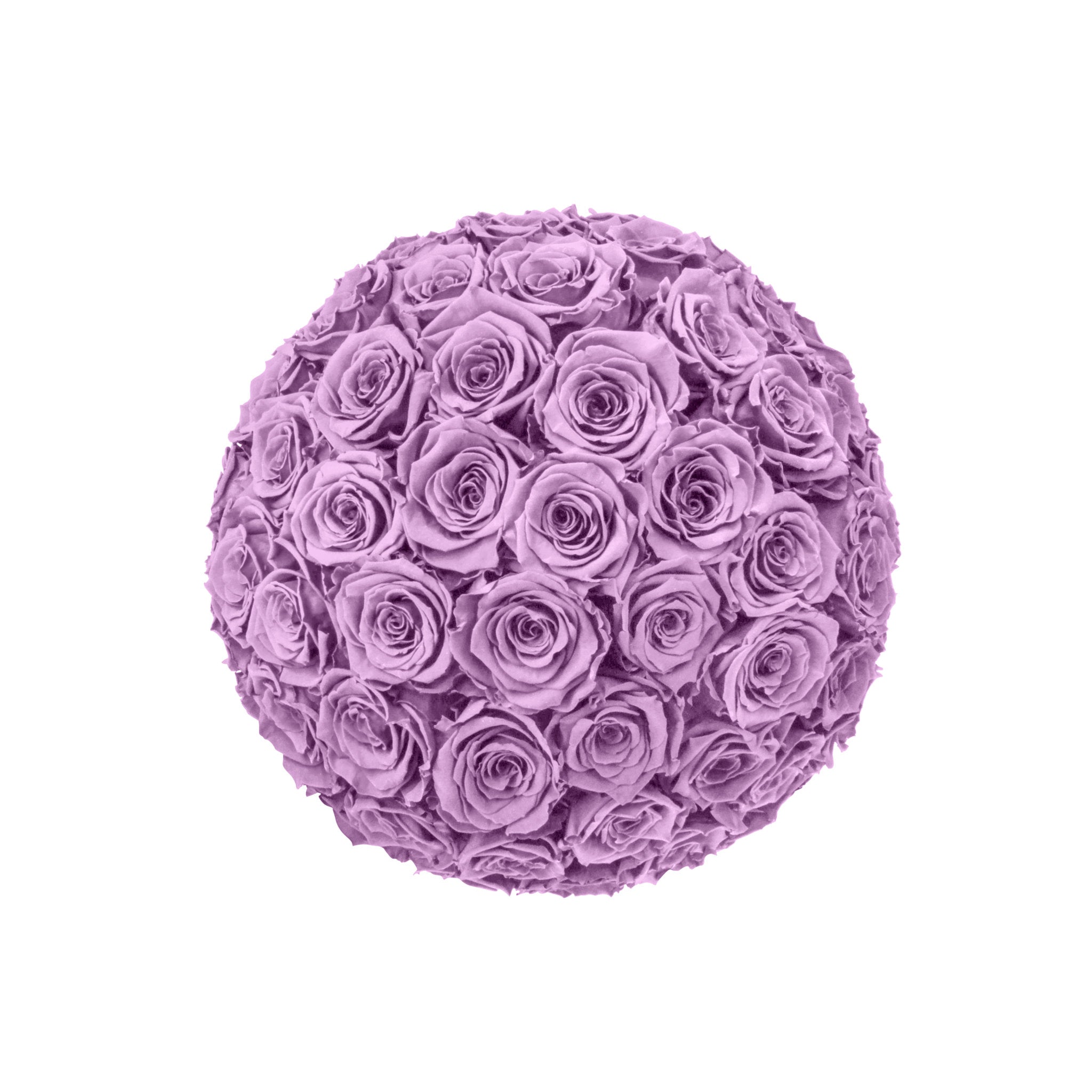 Ball of purple roses on a white background