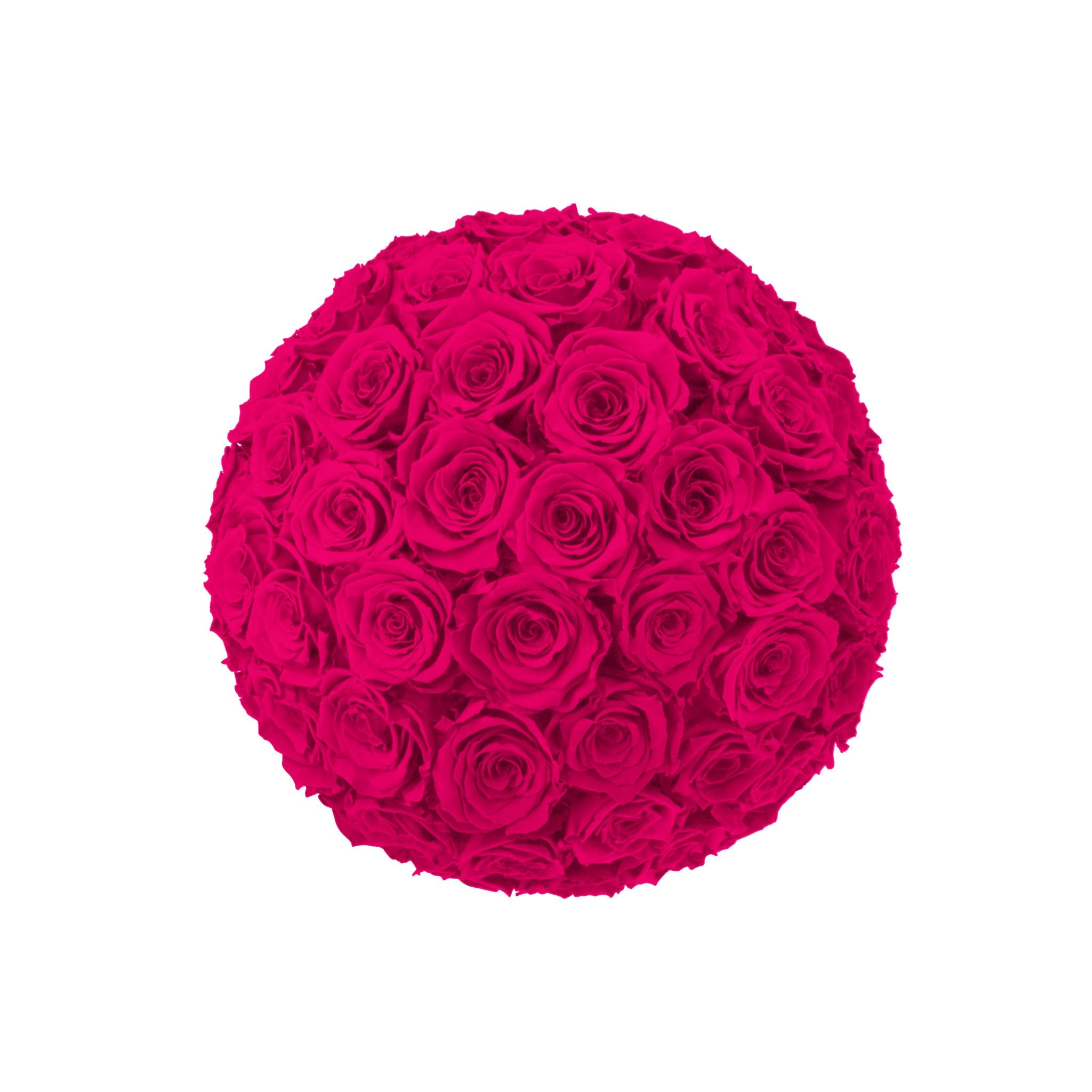 Ball of pink roses on a white background