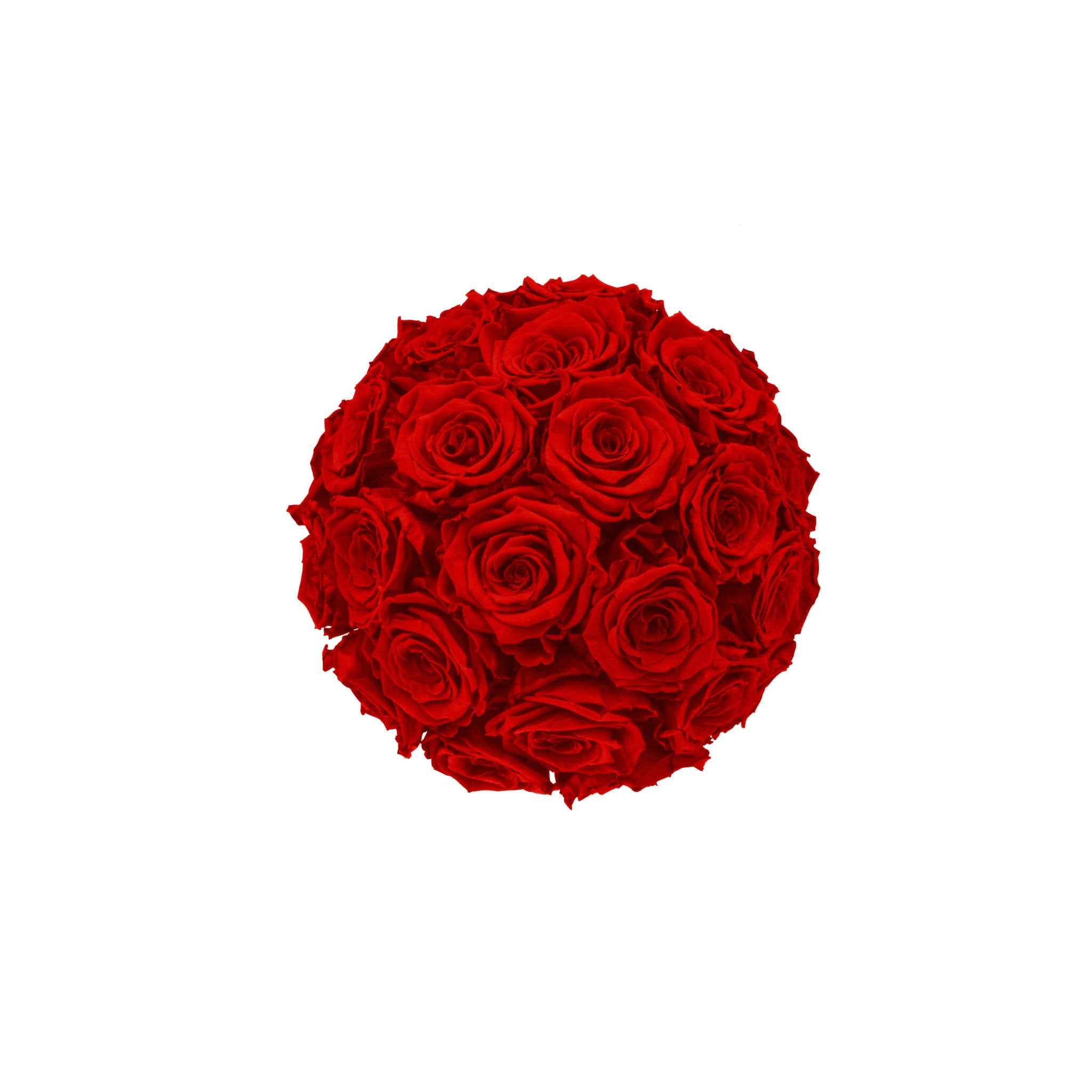 Bouquet of red roses on a white background