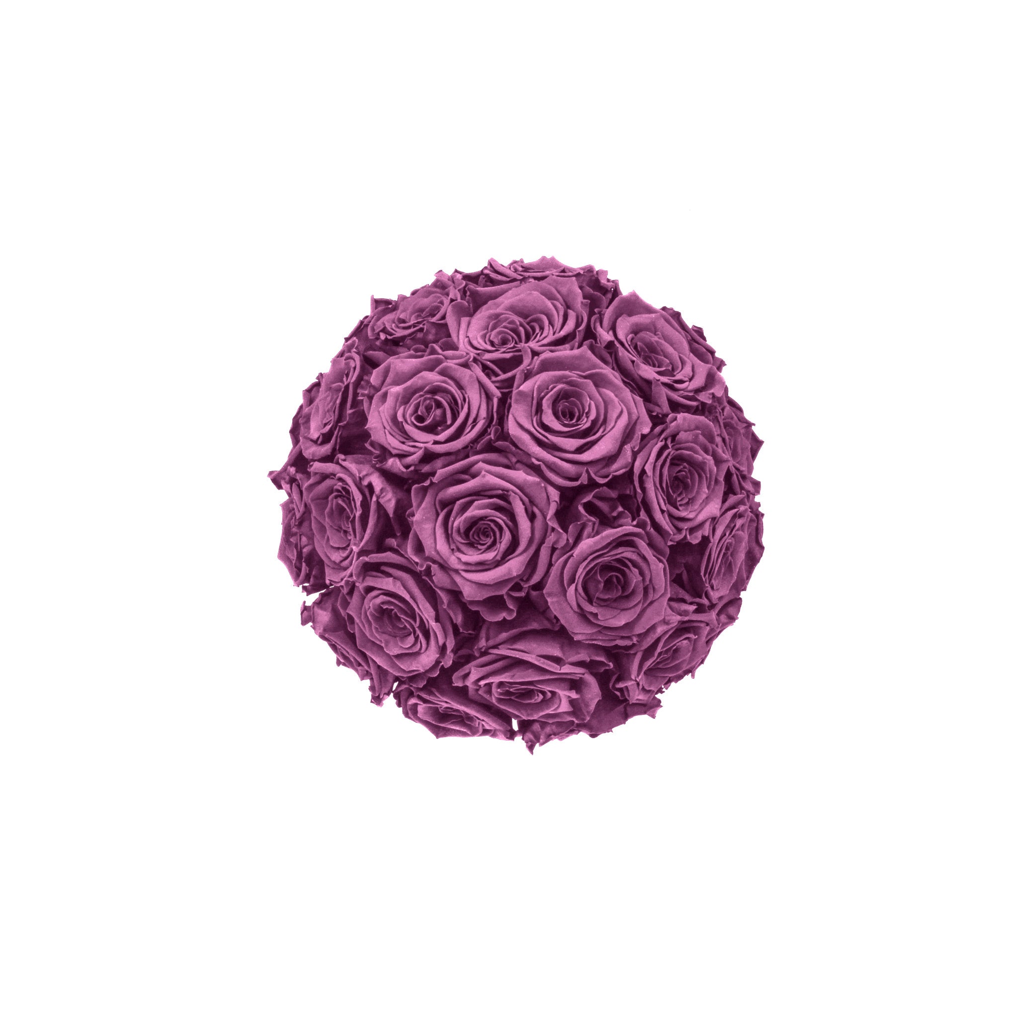 Ball of purple roses on a white background