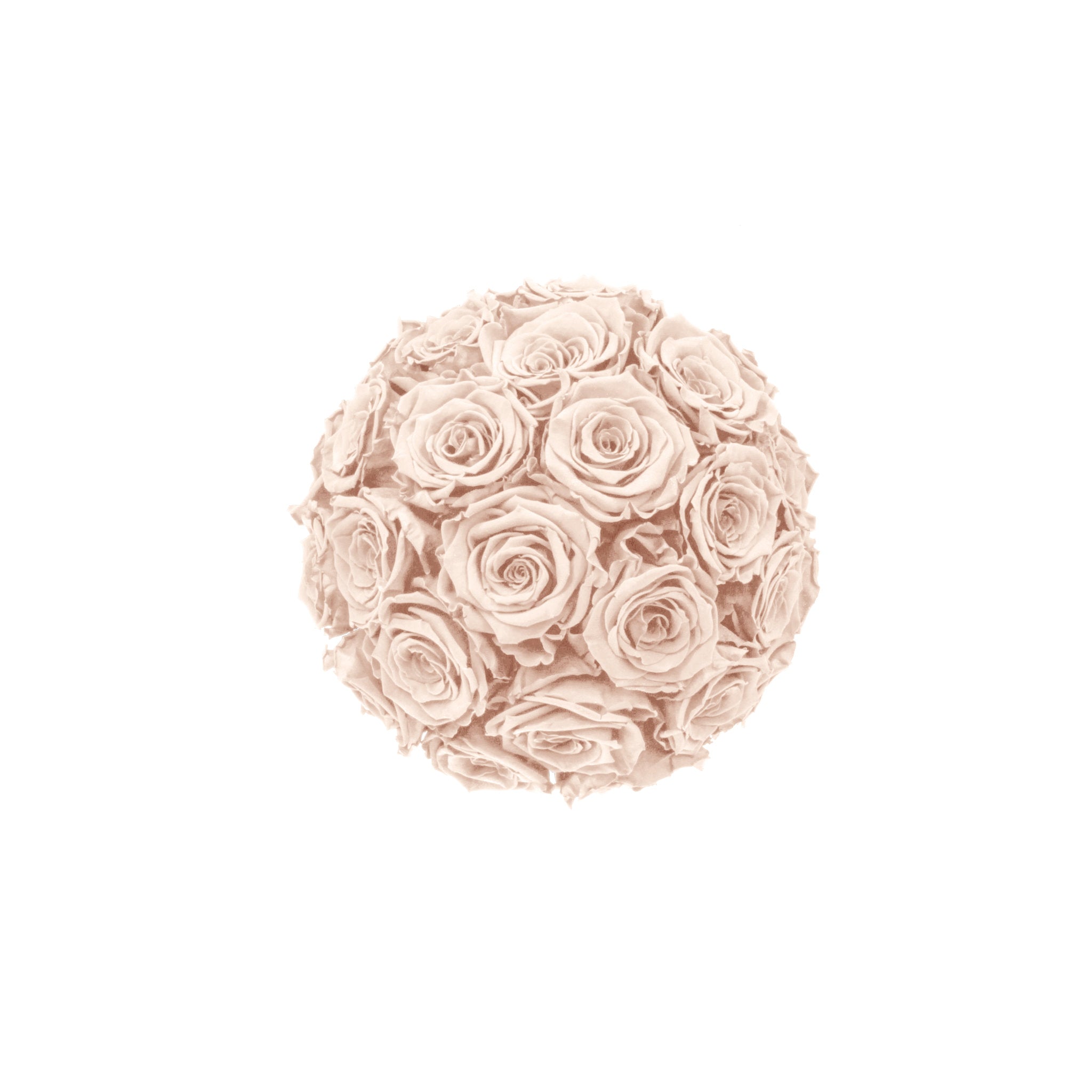 Ball made of pink roses on a white background
