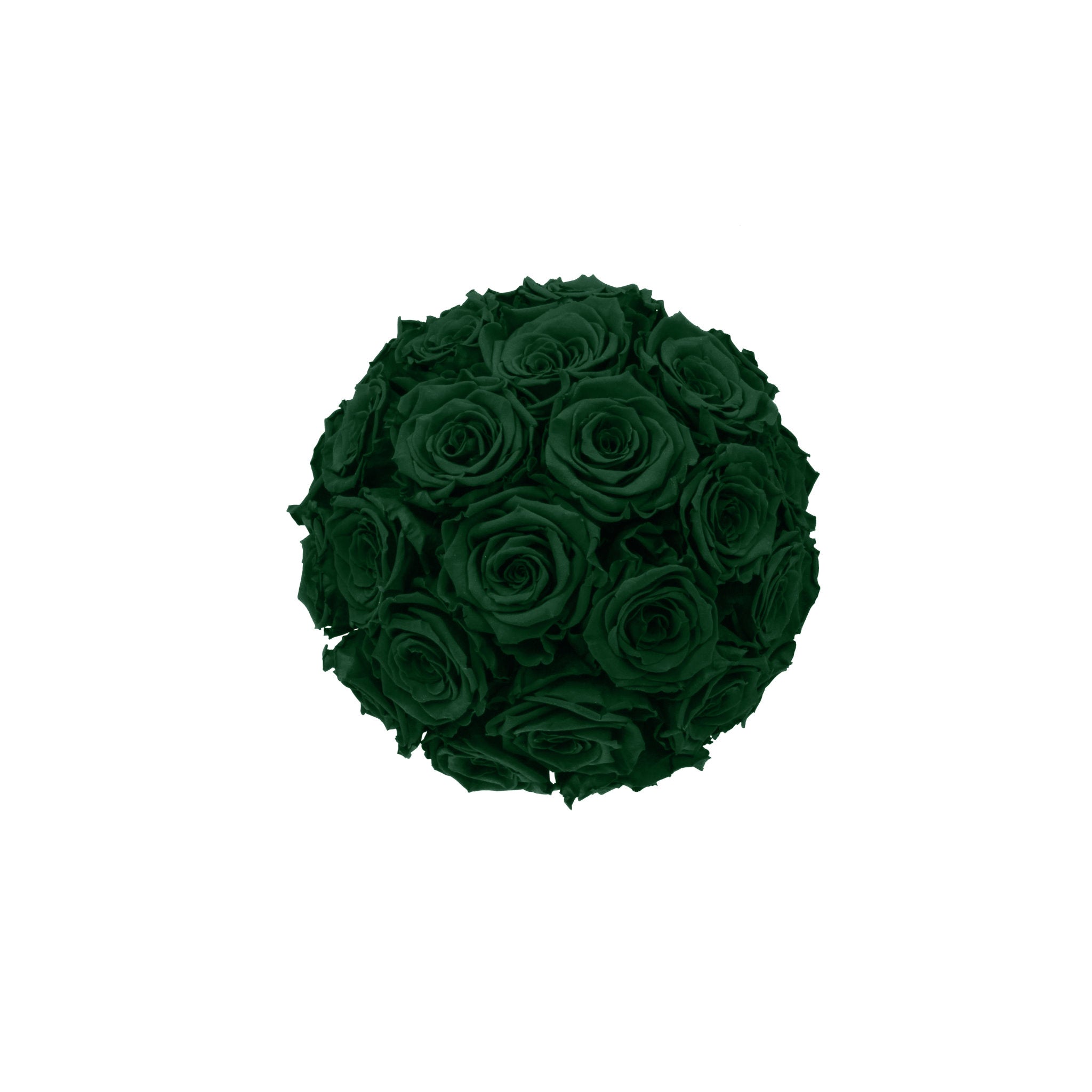 Ball of dark green roses on a white background