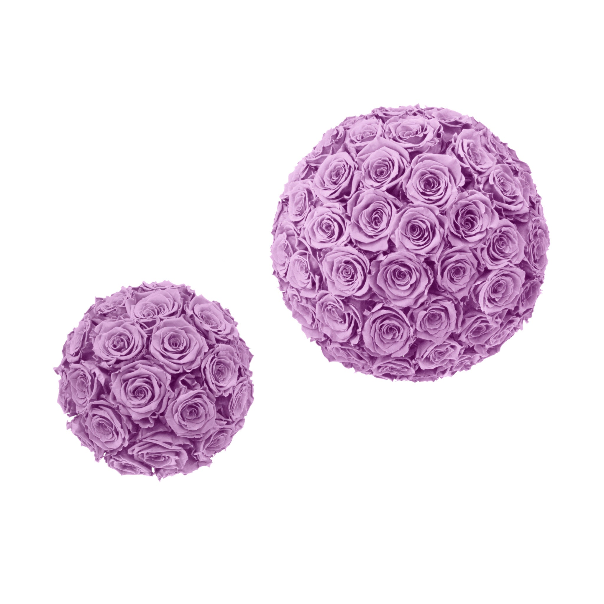 Two purple flower balls on a white background