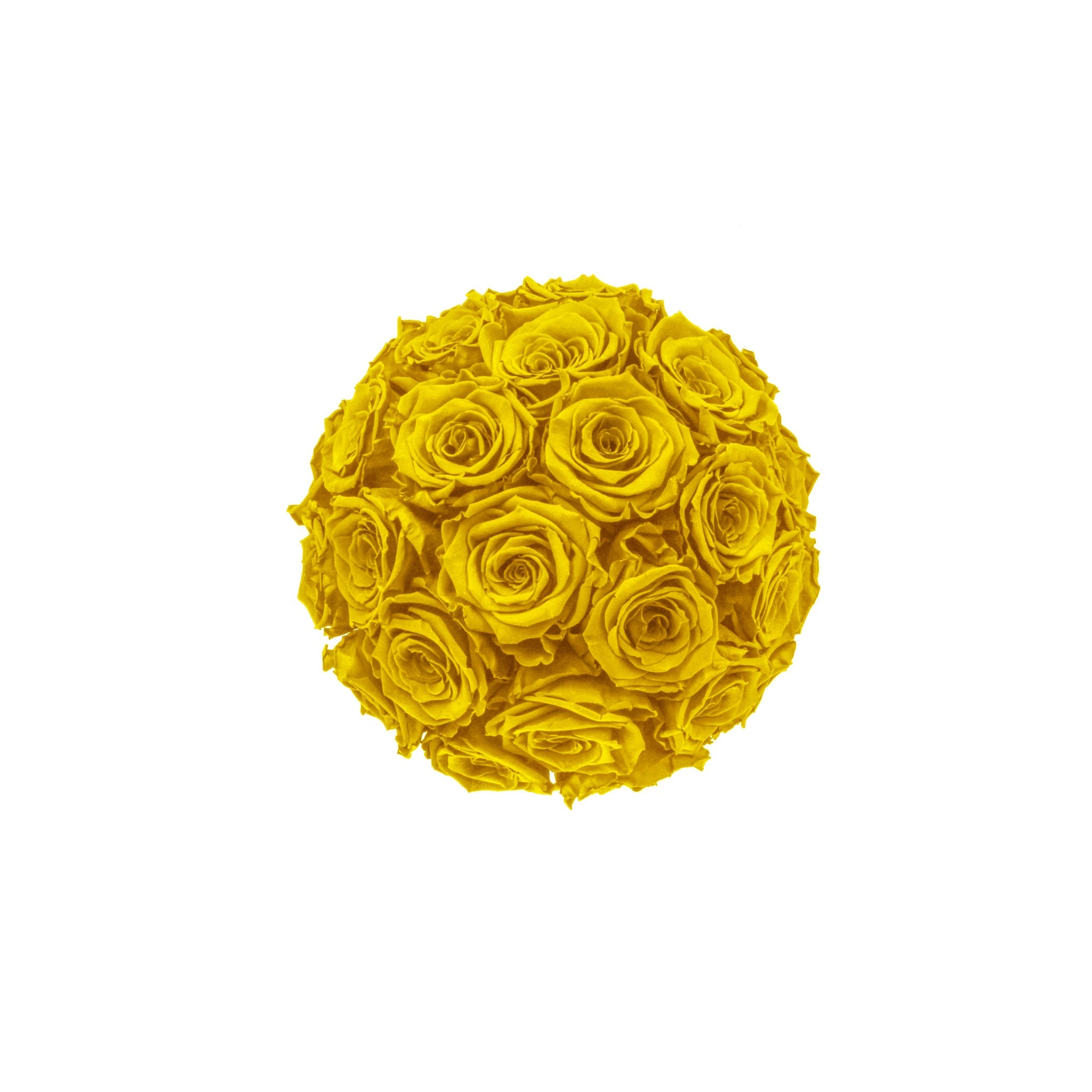 Yellow rose ball on a white background