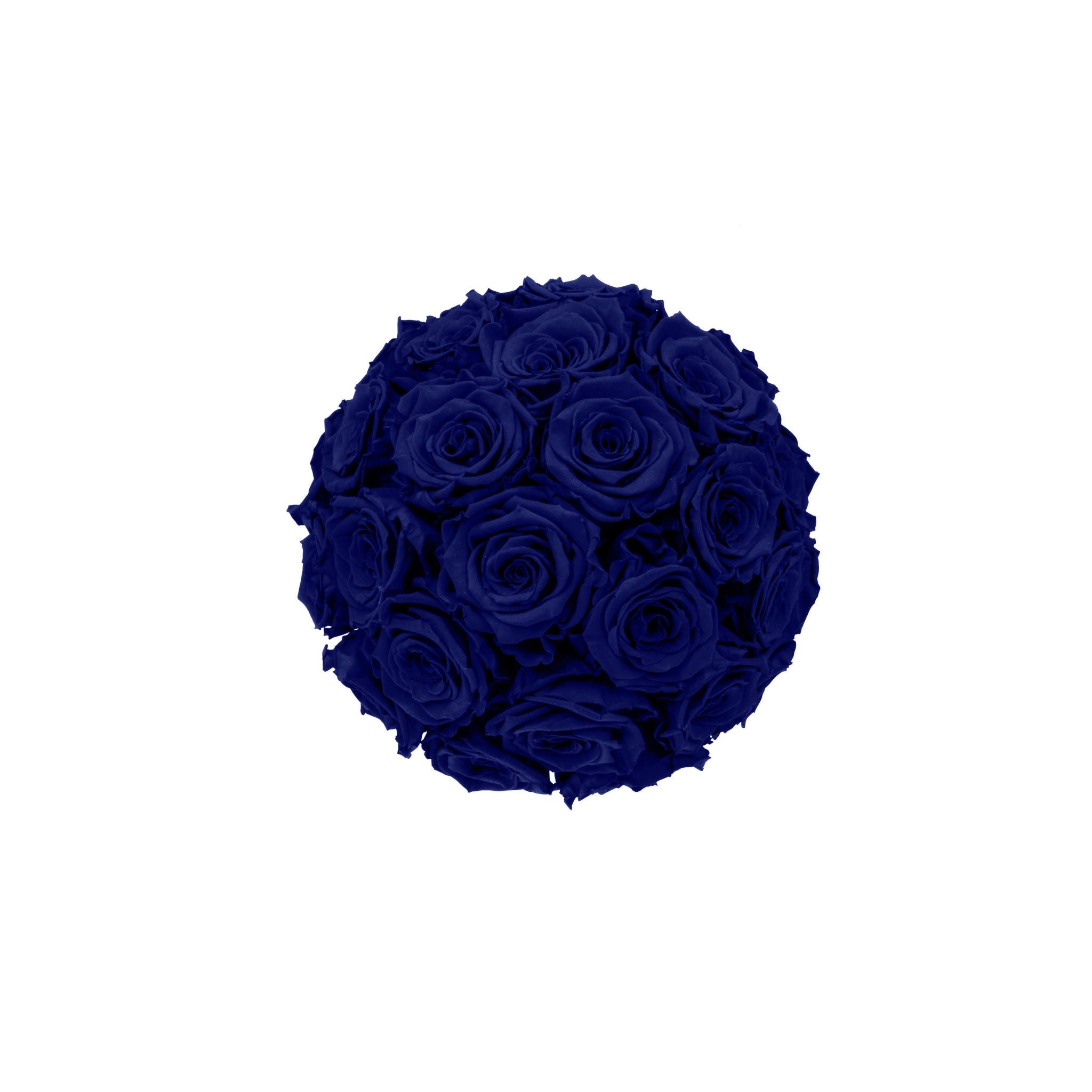 Bouquet of dark blue roses on a white background