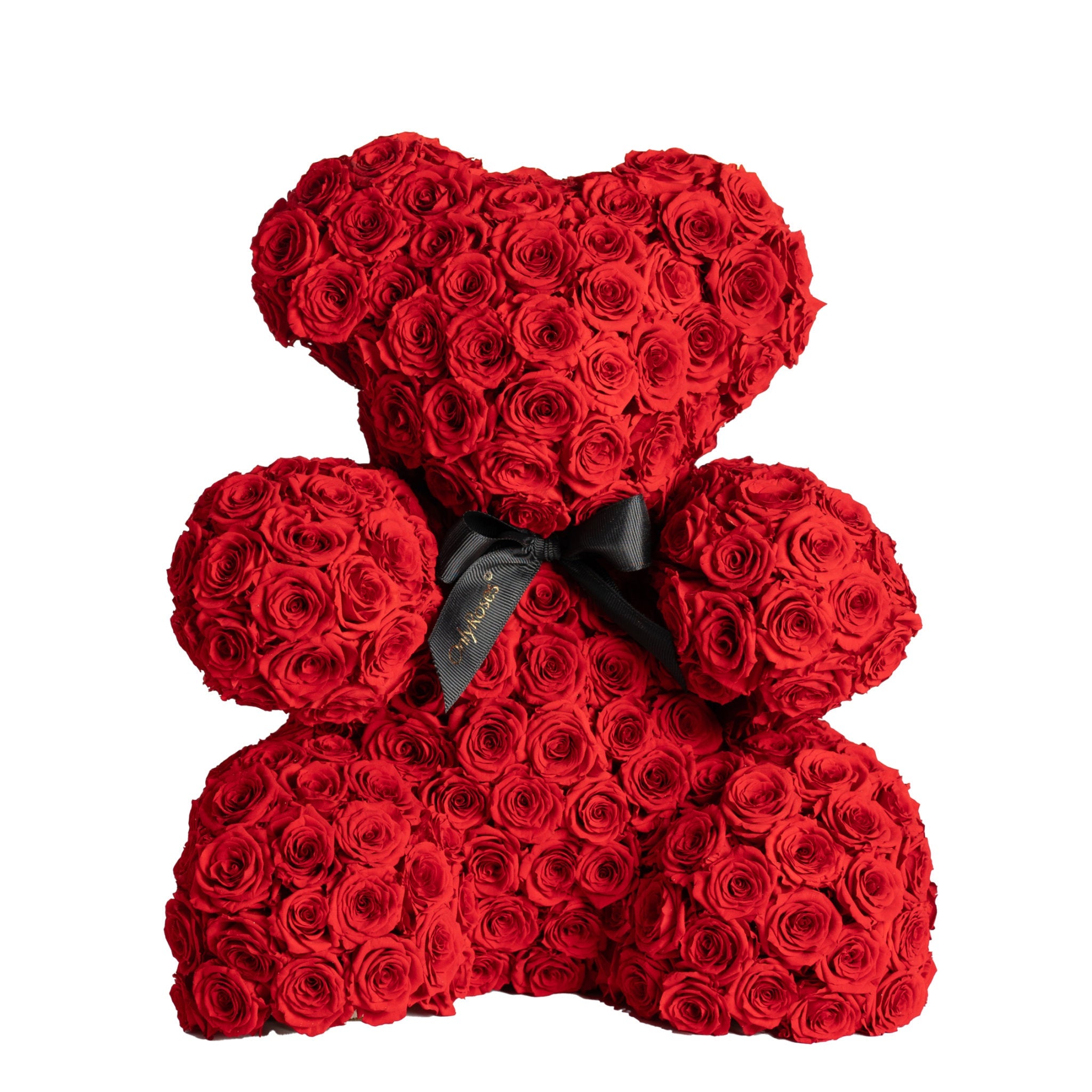 Red rose teddy bear with a black bow on a white background