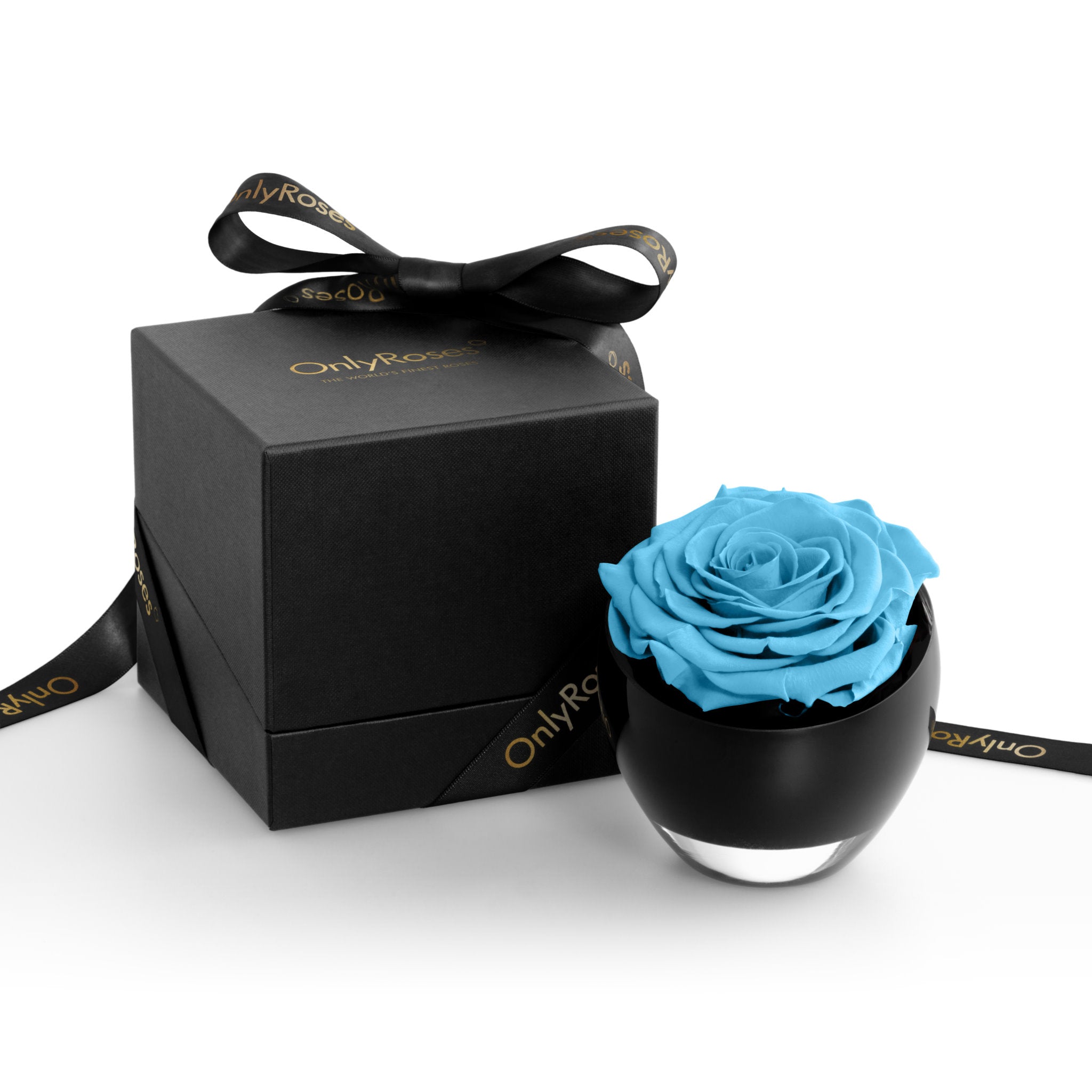 Blue rose in a black container with a matching black box on a white background