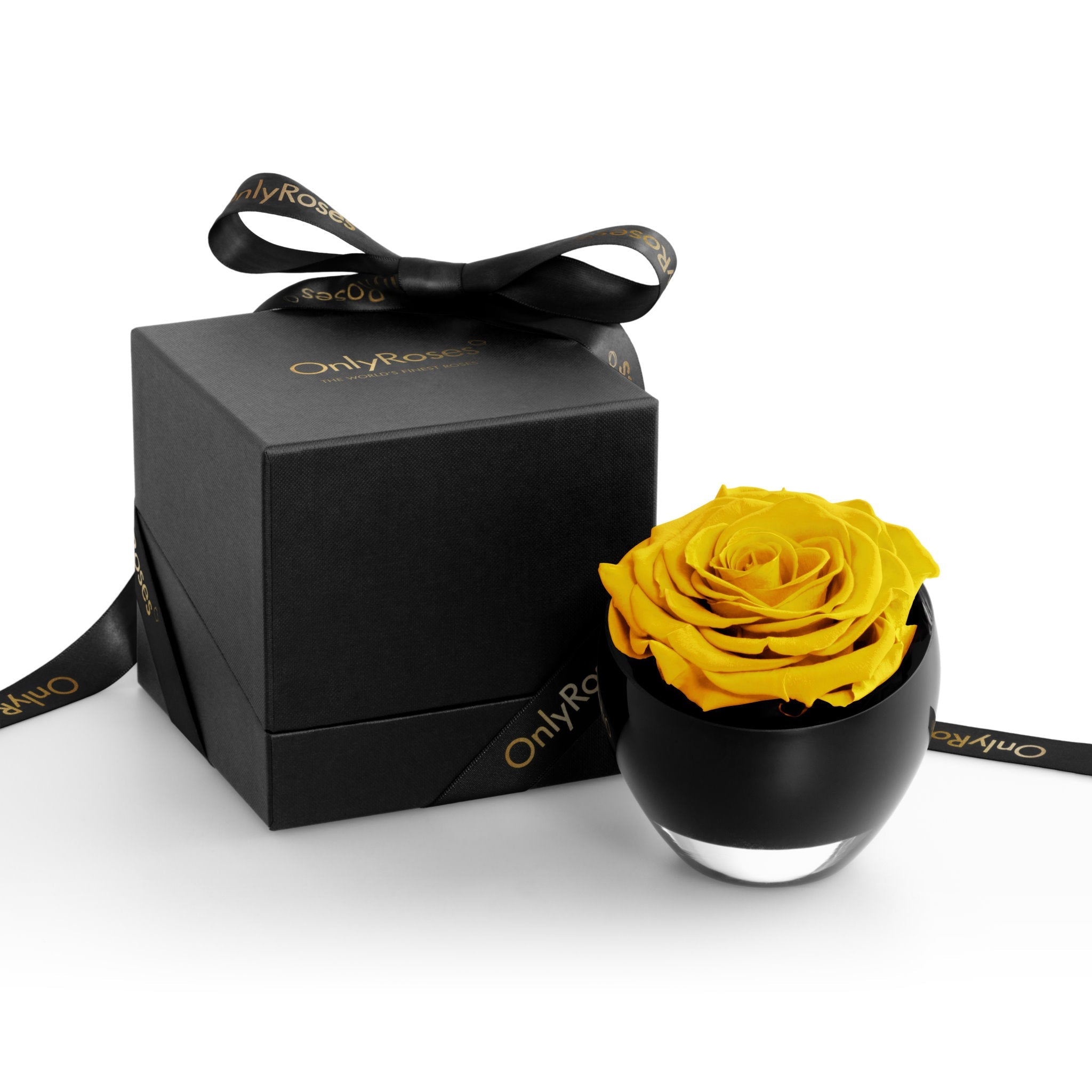 Yellow rose in a black container with a matching box, featuring 'Only Roses' branding.