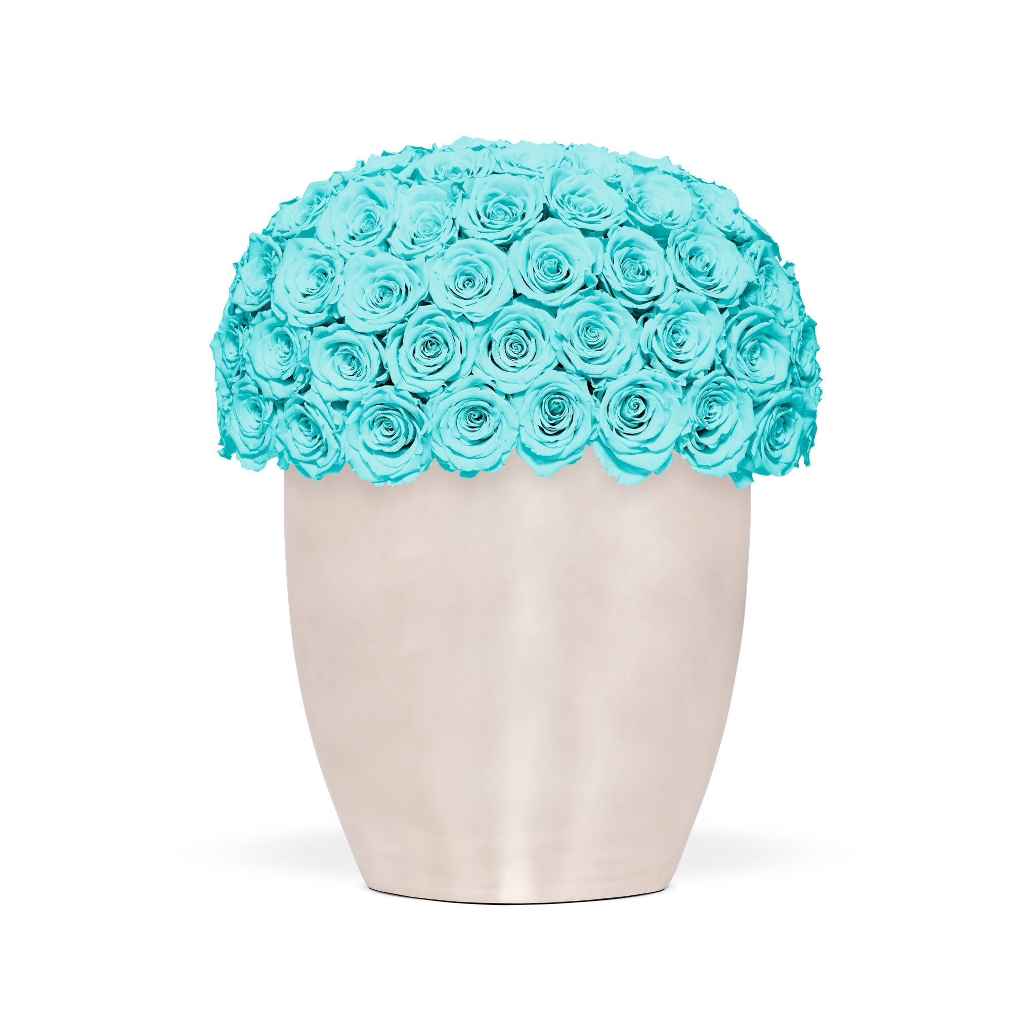 Beige vase with turquoise roses on a white background