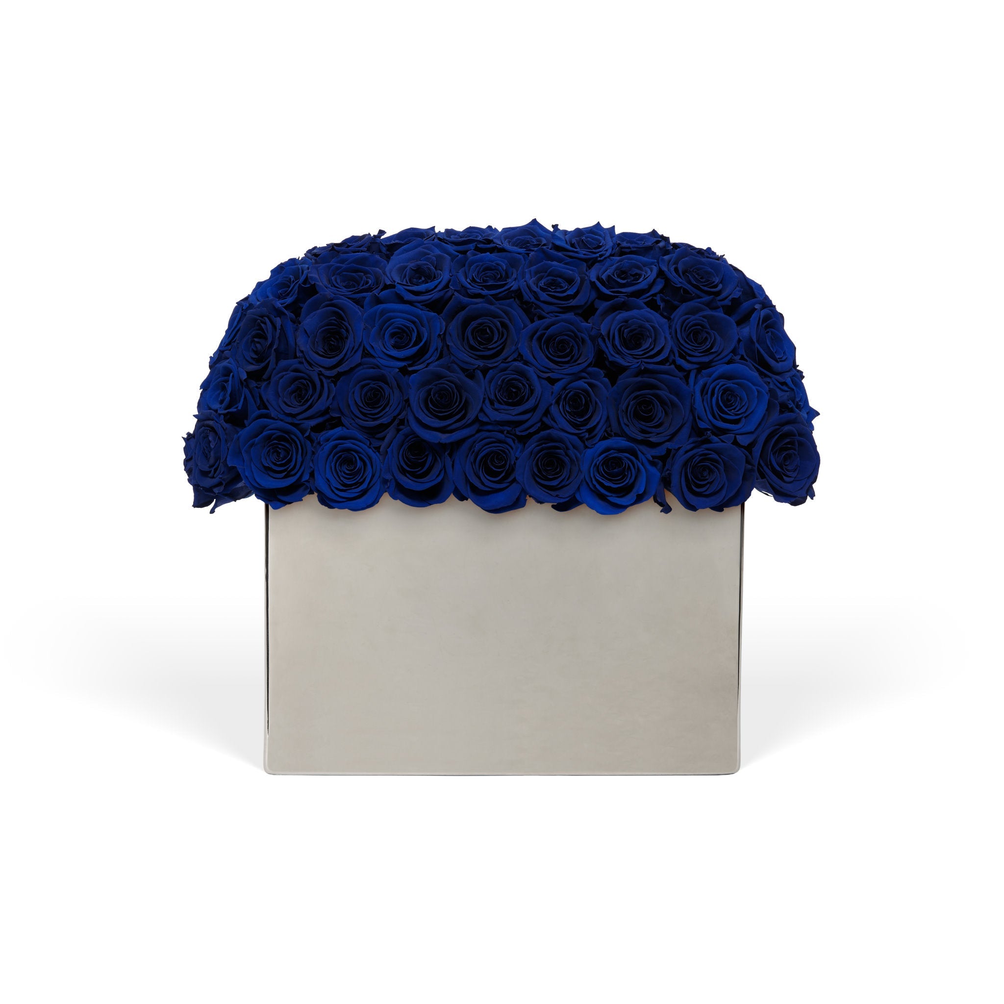 Navy blue roses in a white box on a white background