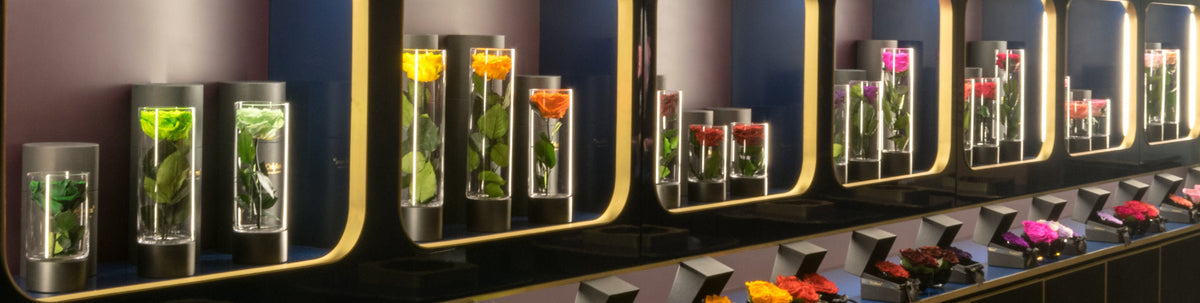 Infinity Roses Koln 4 Reasons Infinite Roses® Make the Perfect Gift | OnlyRoses | OnlyRoses UK