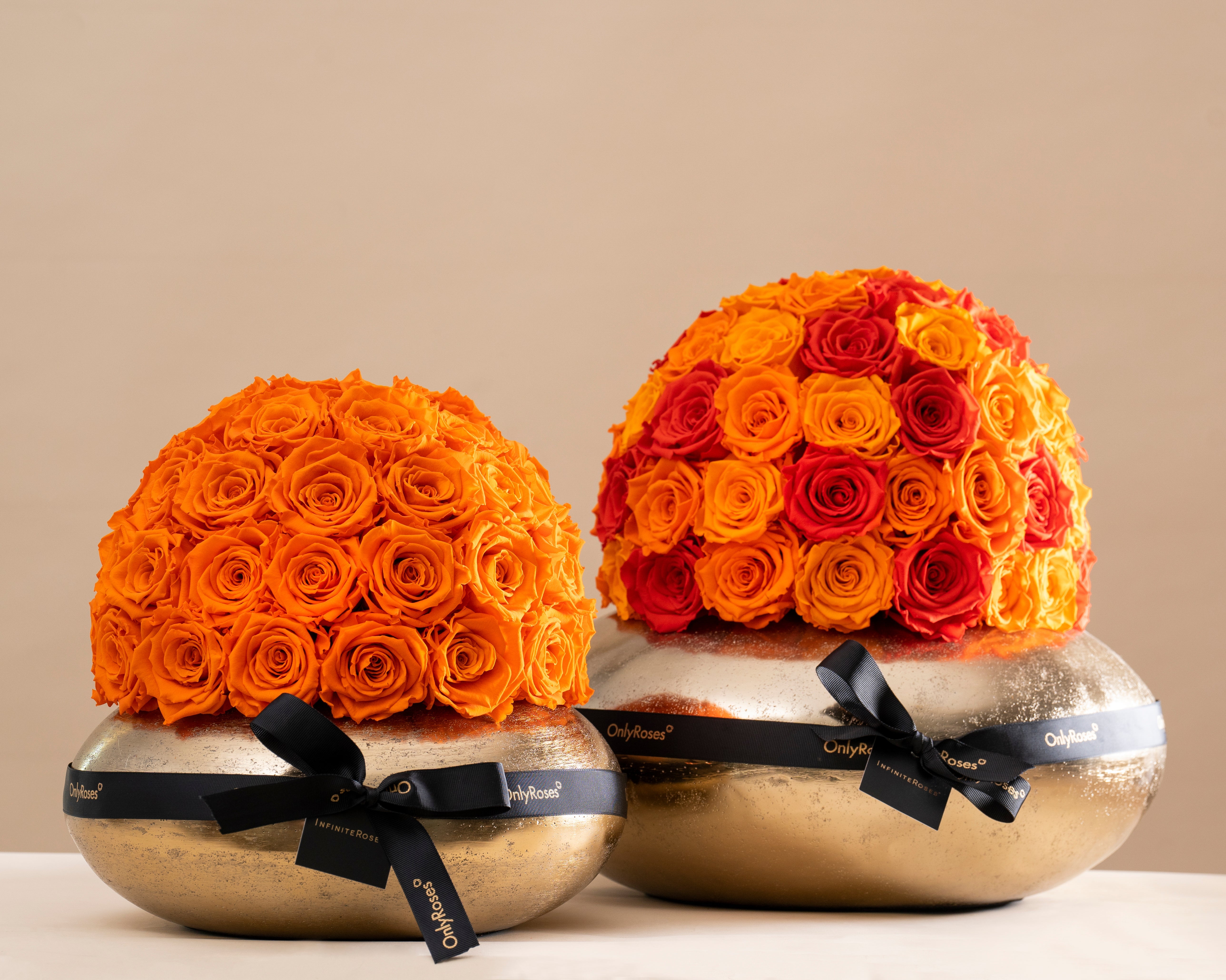 Rose Types, Decoded: What Gift-Buyers Actually Need to Know