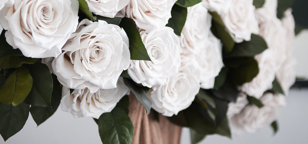 Infinite Roses: Create a Lasting Memory | OnlyRoses
