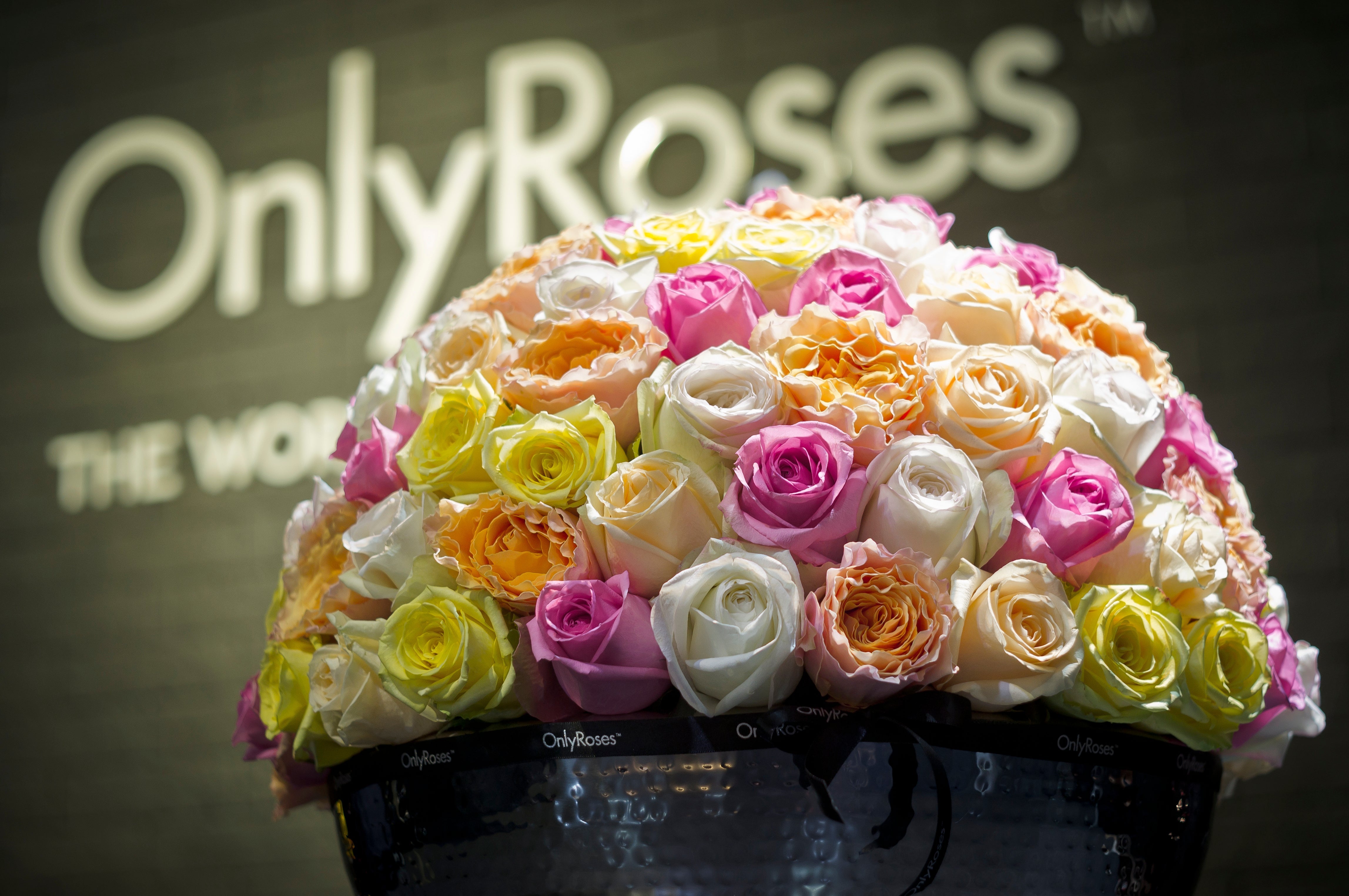 Unique Rose Gifts: Beyond the Bouquet