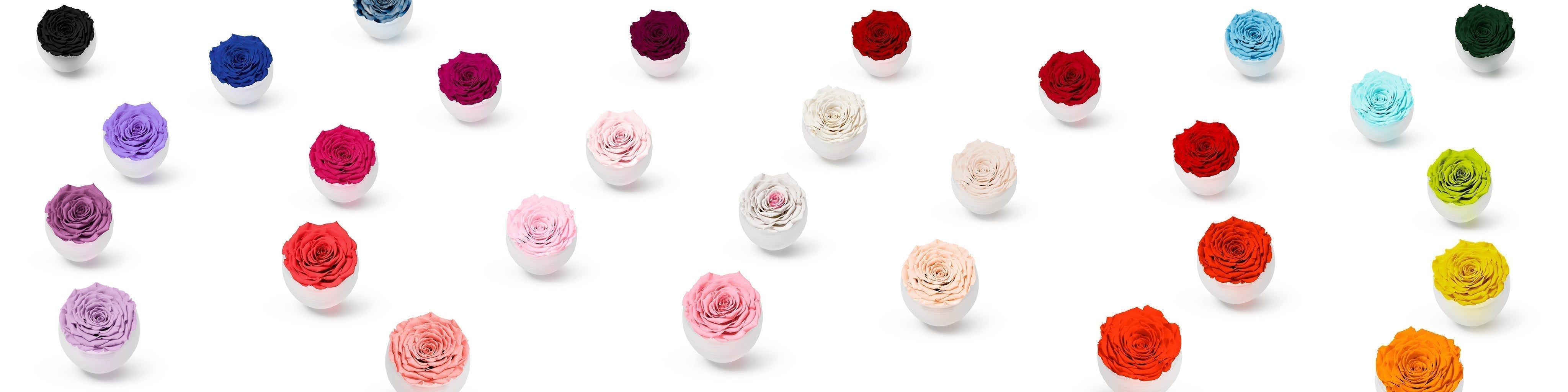 Colour Psychology and The Use of Colour