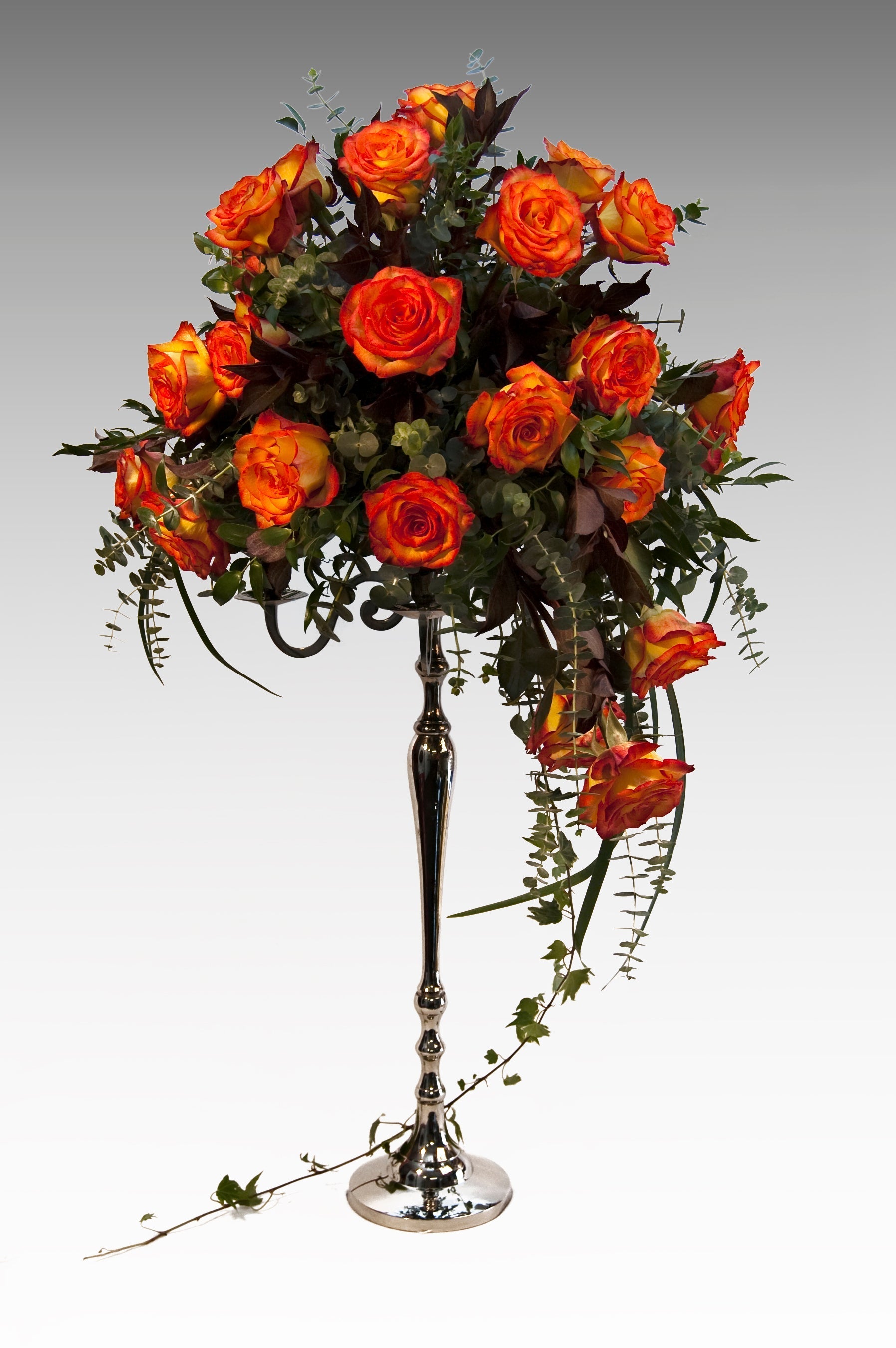 What Makes a Rose Special? The Botany of Luxury